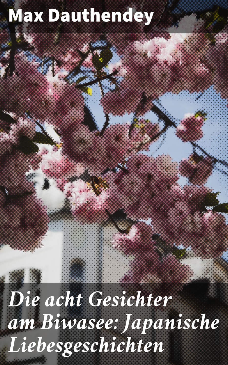 Обложка книги «Die acht Gesichter am Biwasee: Japanische Liebesgeschichten»