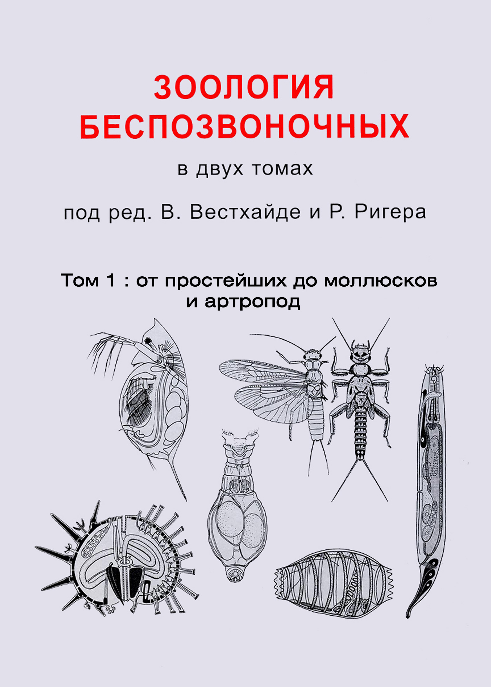 Обложка книги «Зоология беспозвоночных. Том 1. От простейших до моллюсков и артропод»