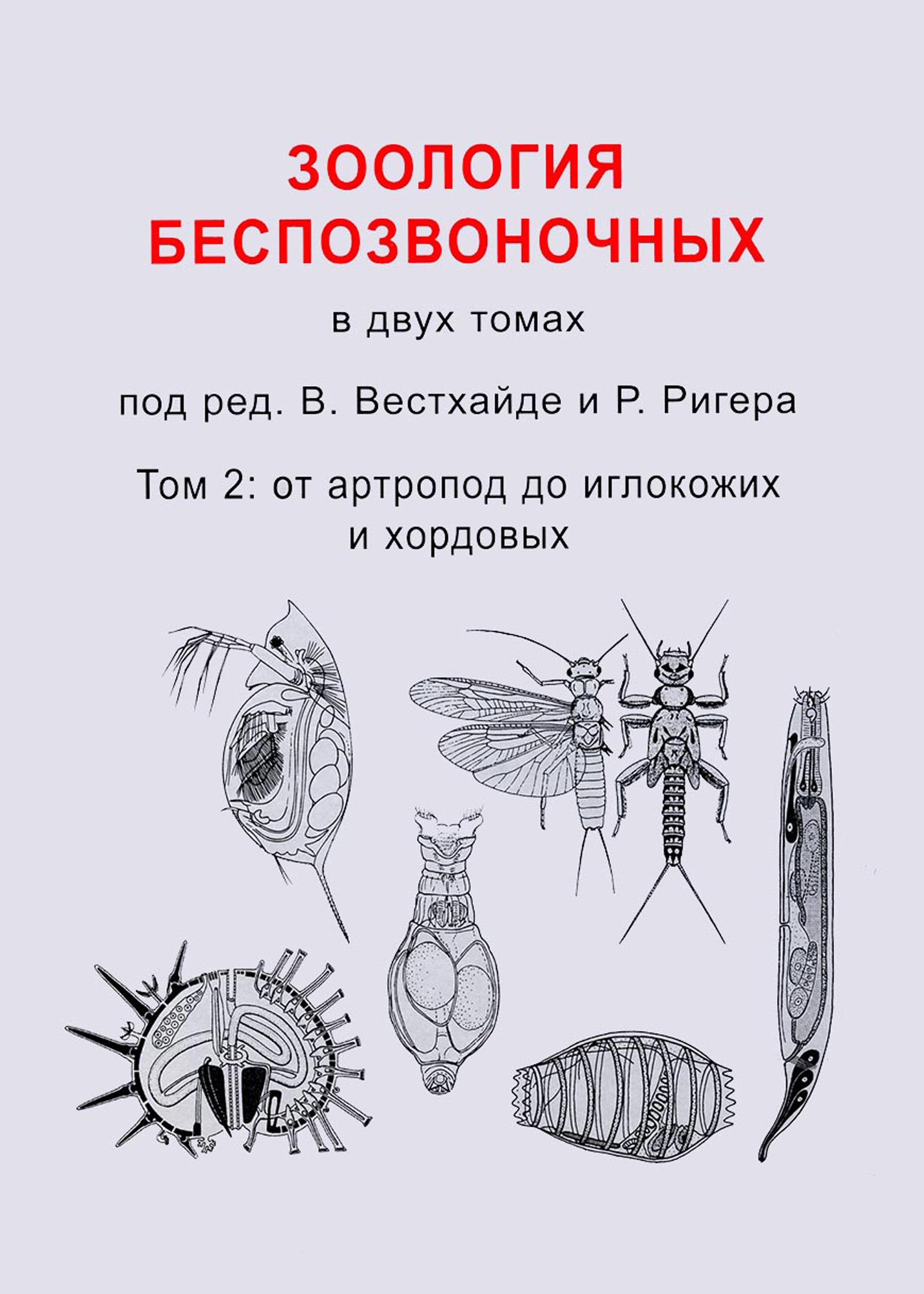 Обложка книги «Зоология беспозвоночных. Том 2. От артропод до иглокожих и хордовых»