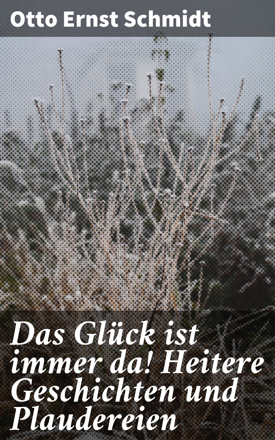 Обложка книги «Das Glück ist immer da! Heitere Geschichten und Plaudereien»
