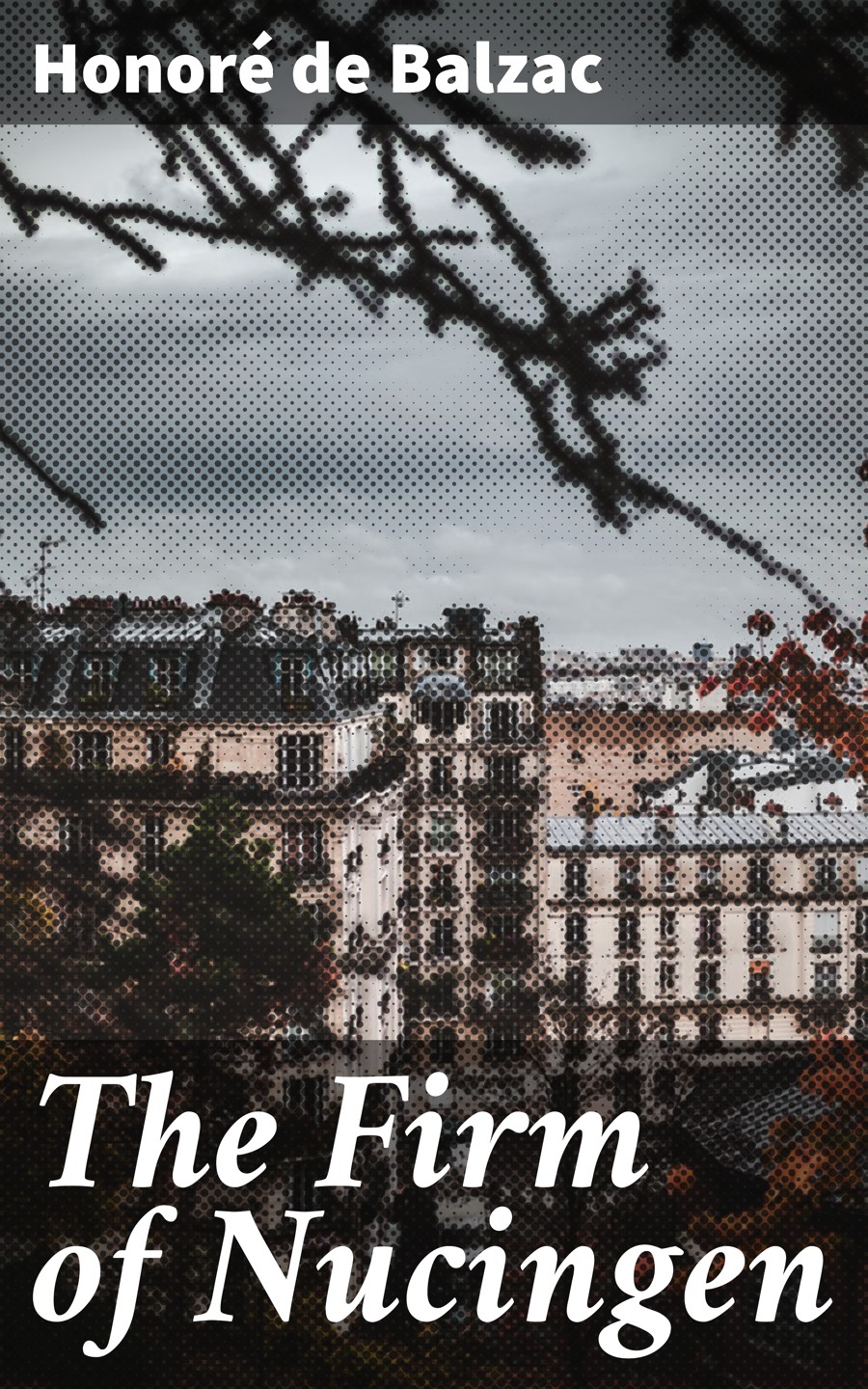 Обложка книги «The Firm of Nucingen»