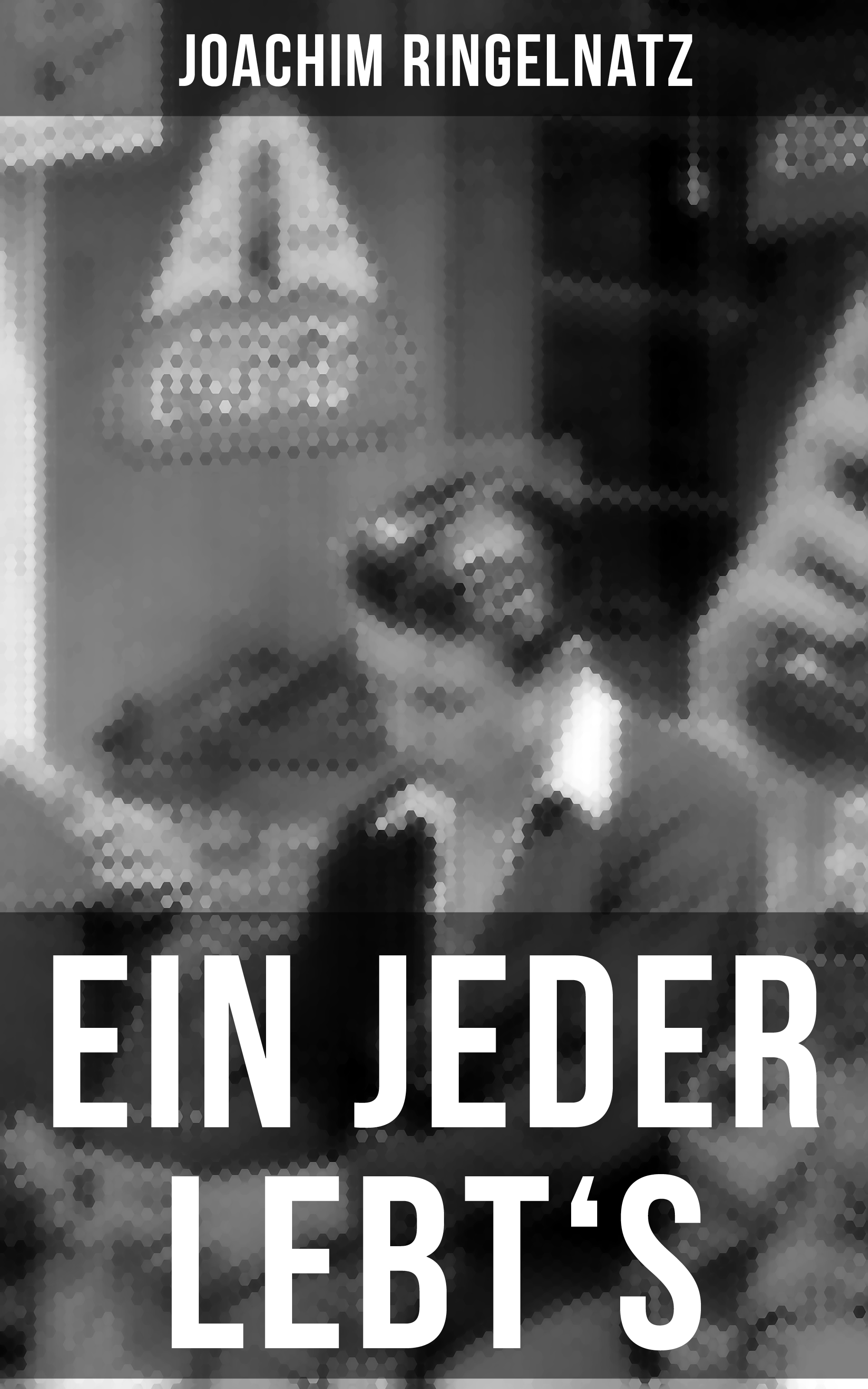Обложка книги «Ein jeder lebt's»