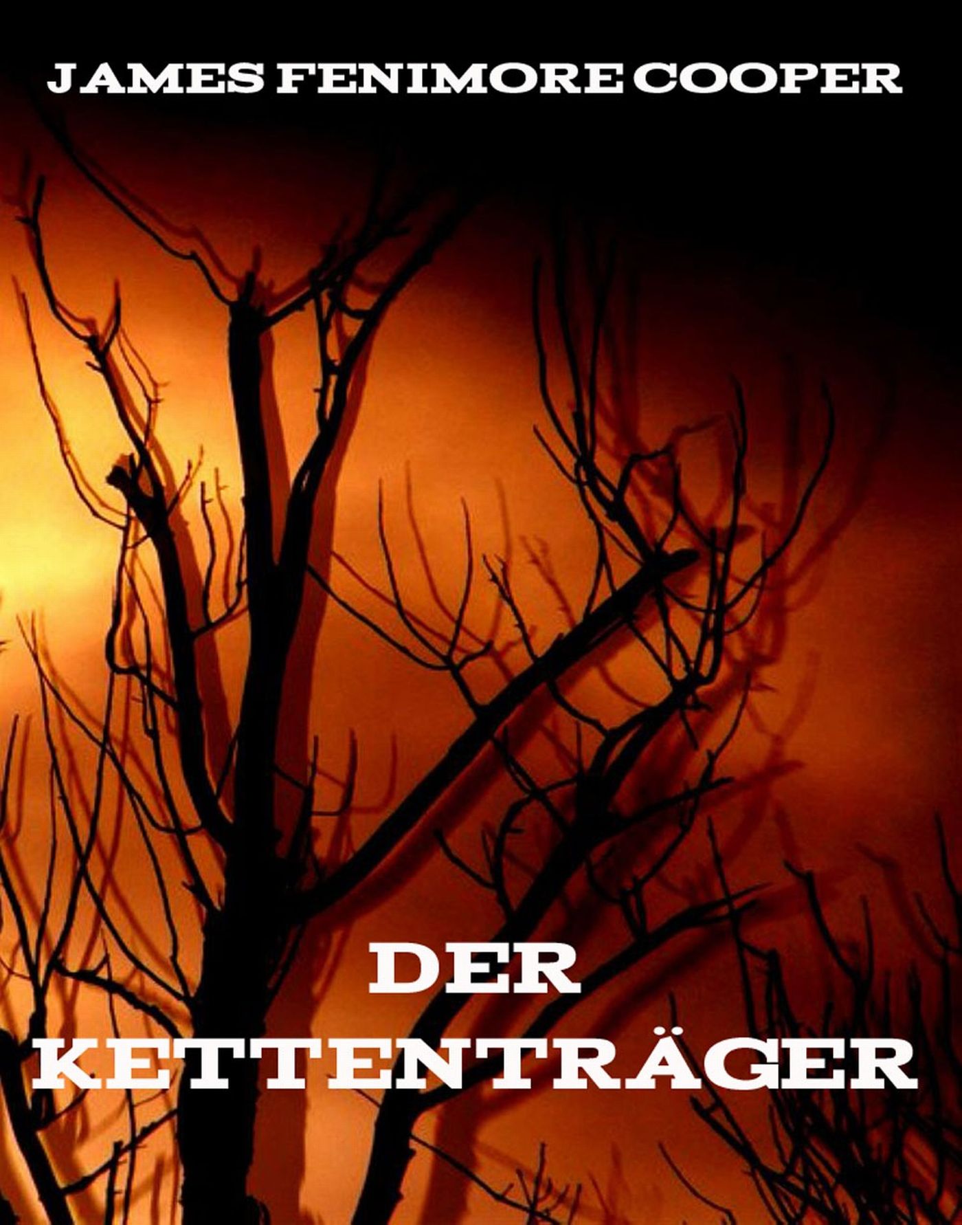 Обложка книги «Der Kettenträger»