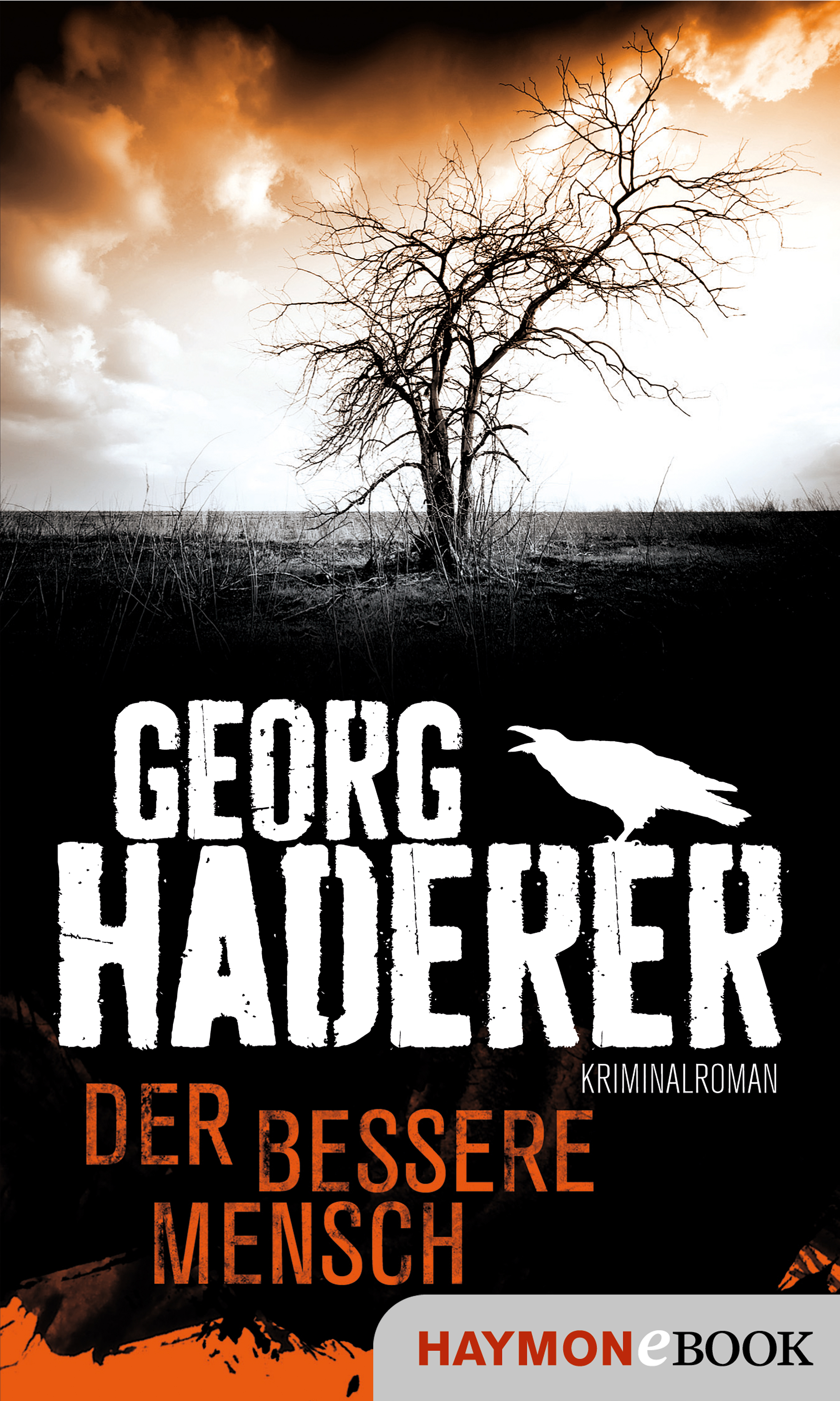 Обложка книги «Der bessere Mensch»