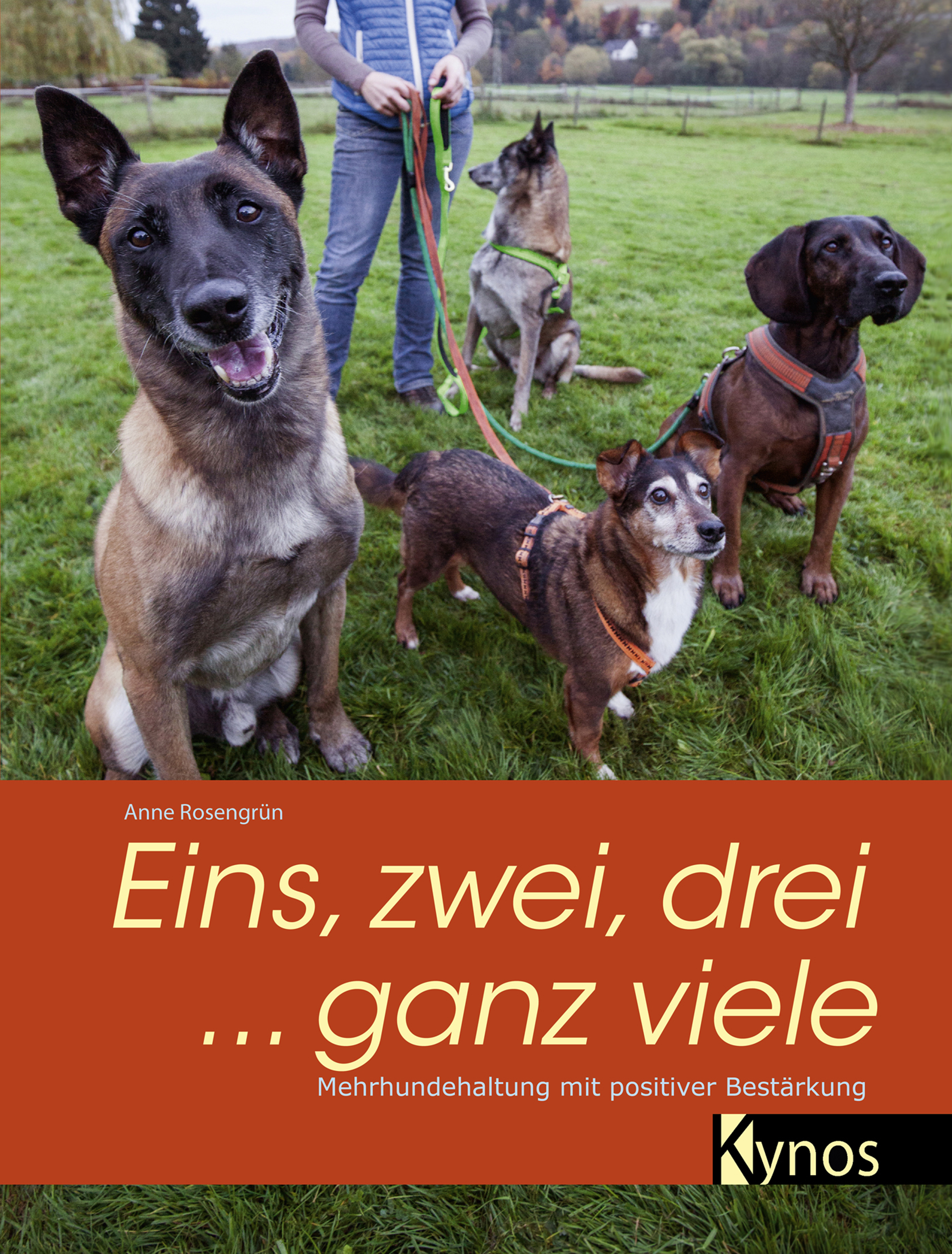 Обложка книги «Eins, zwei, drei ... ganz viele»