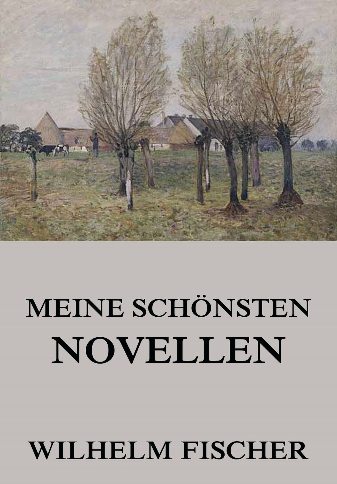 Обложка книги «Meine schönsten Novellen»