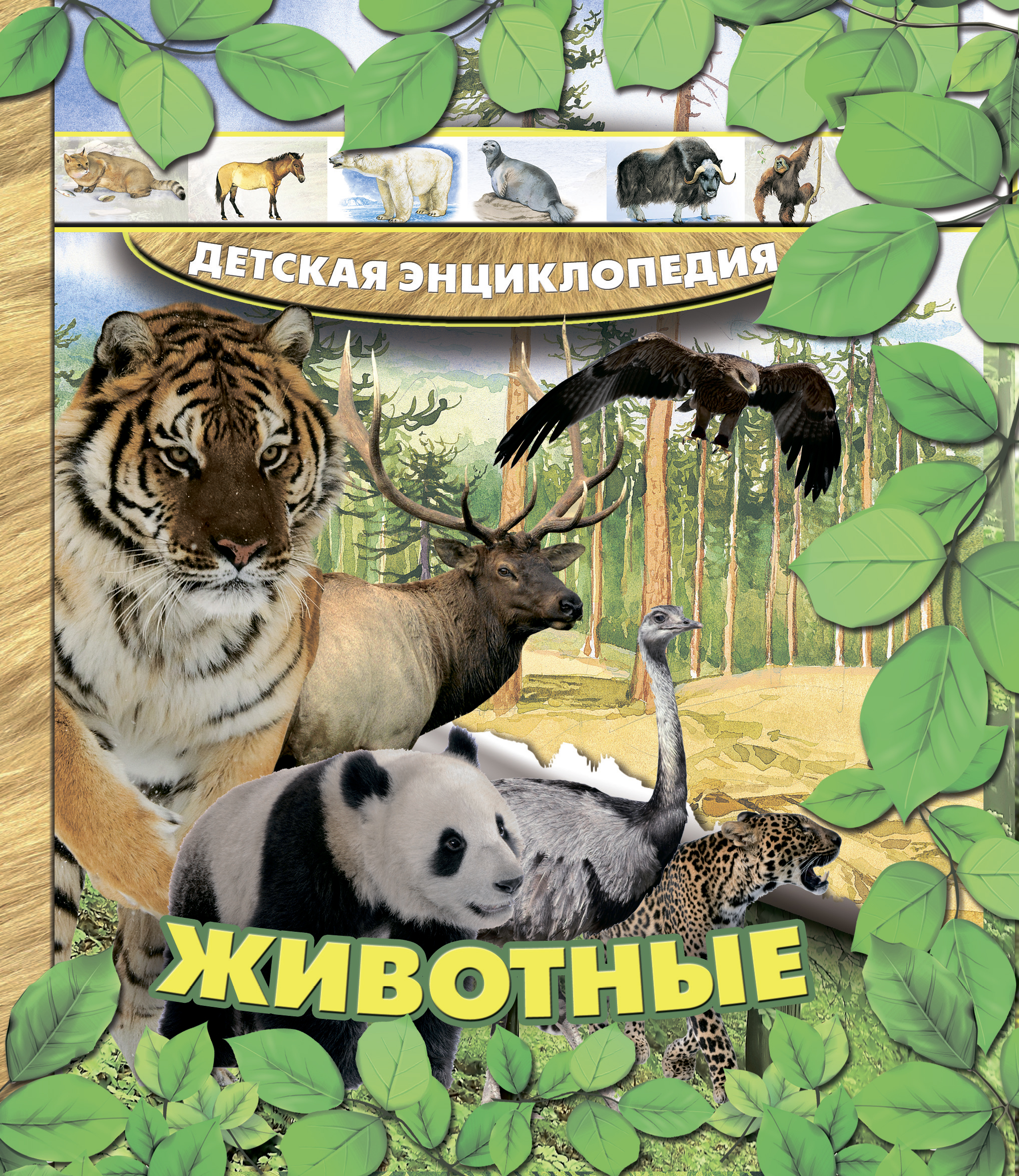 Обложка книги «Животные»