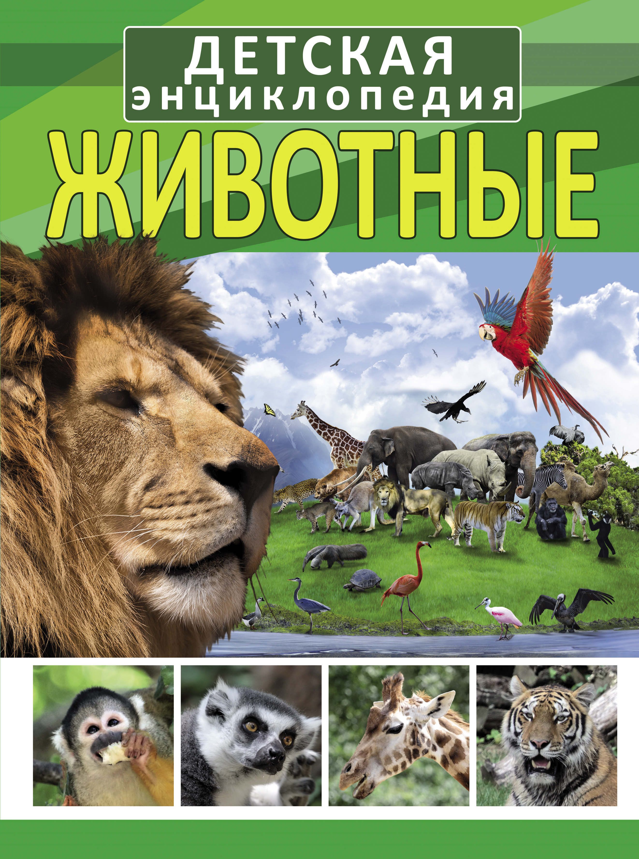 Обложка книги «Животные»