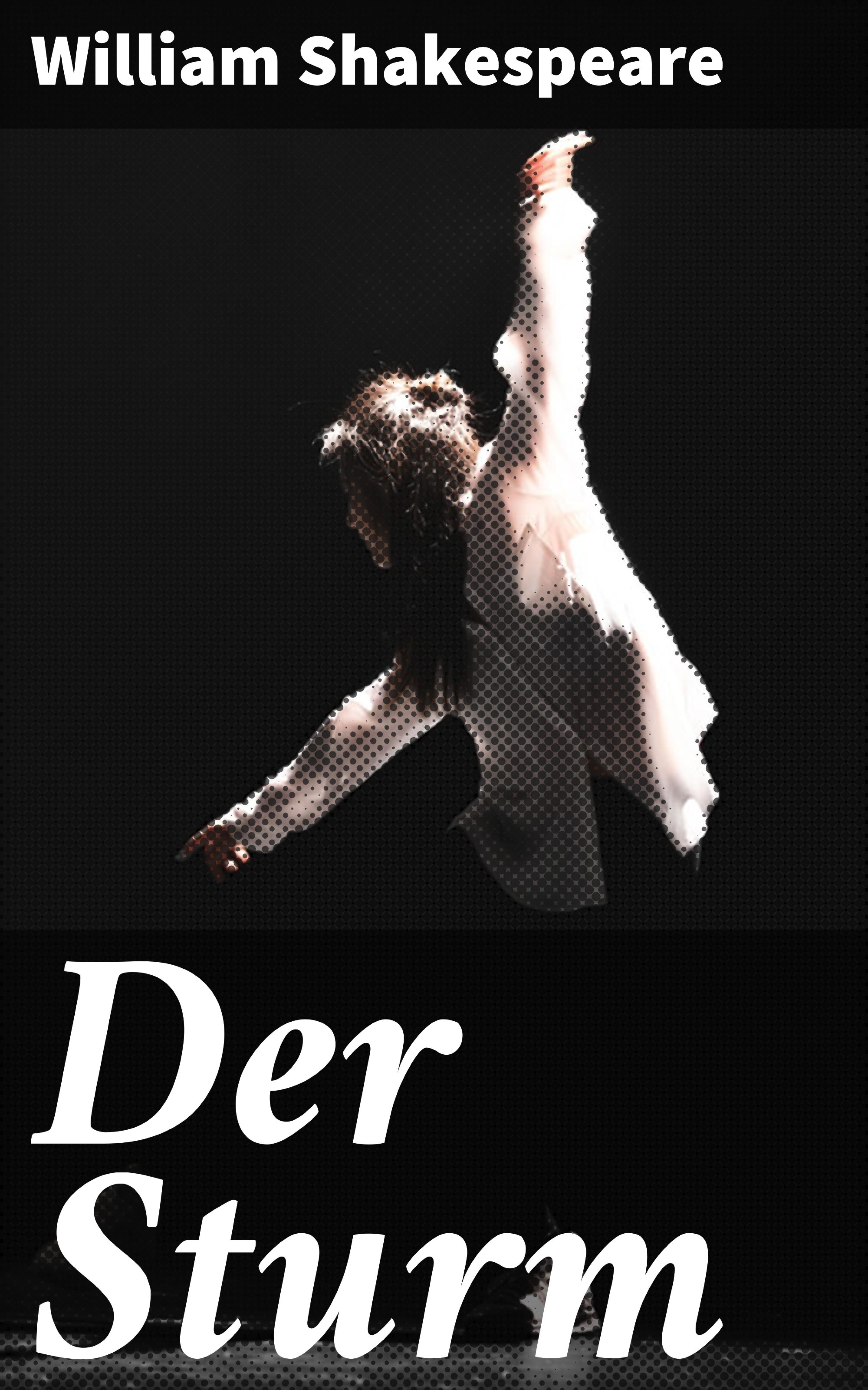 Обложка книги «Der Sturm»