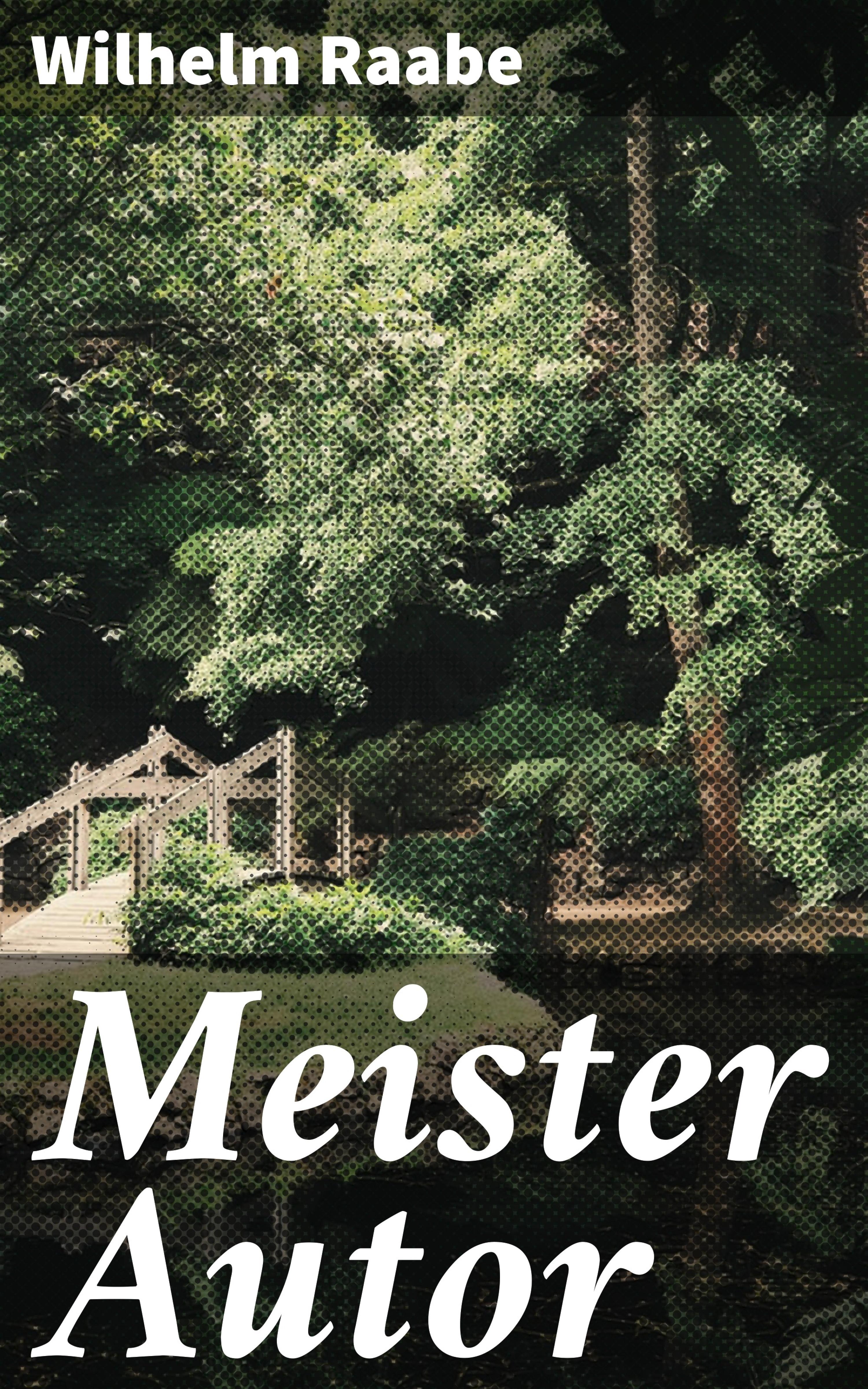 Обложка книги «Meister Autor»