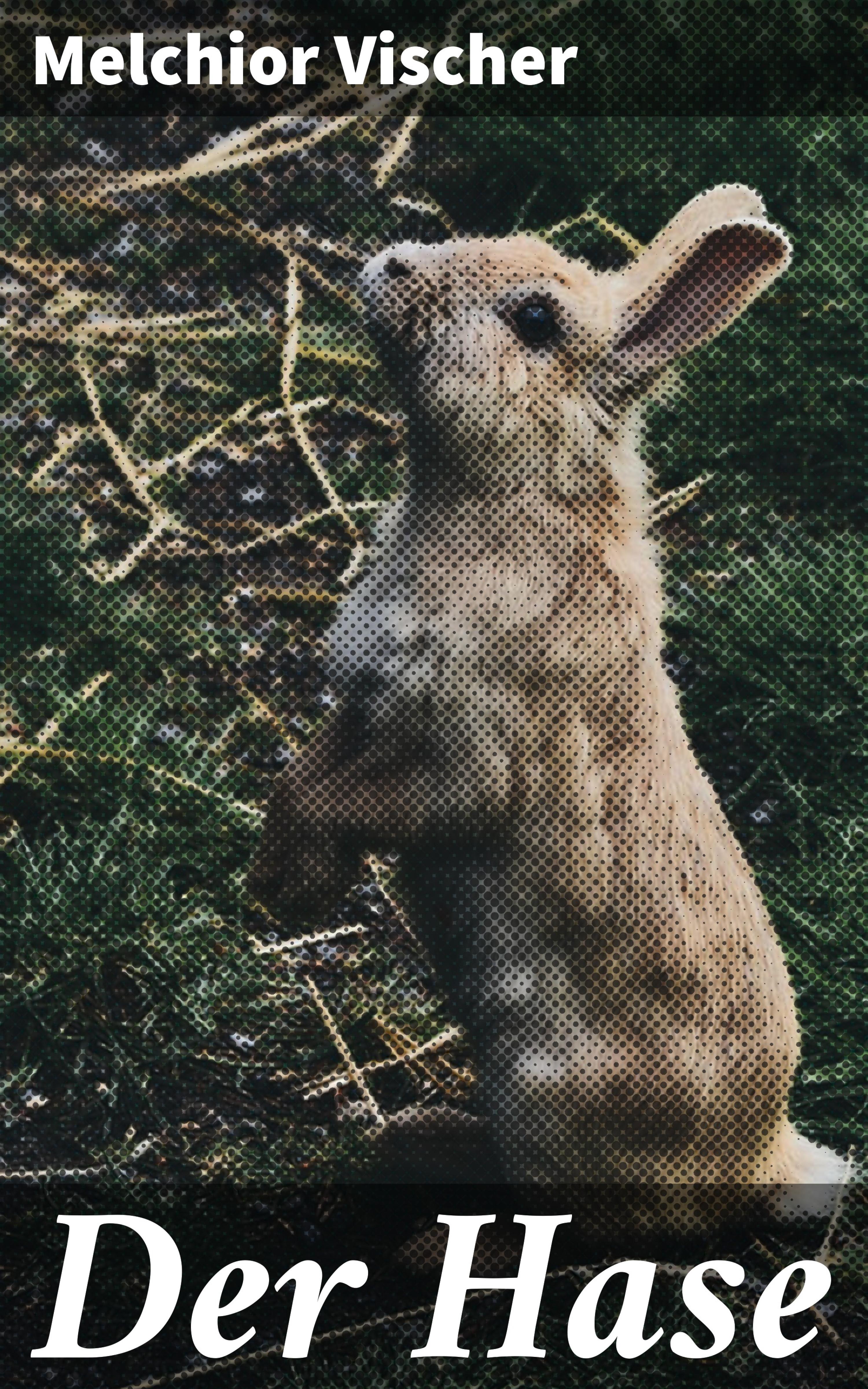 Обложка книги «Der Hase»