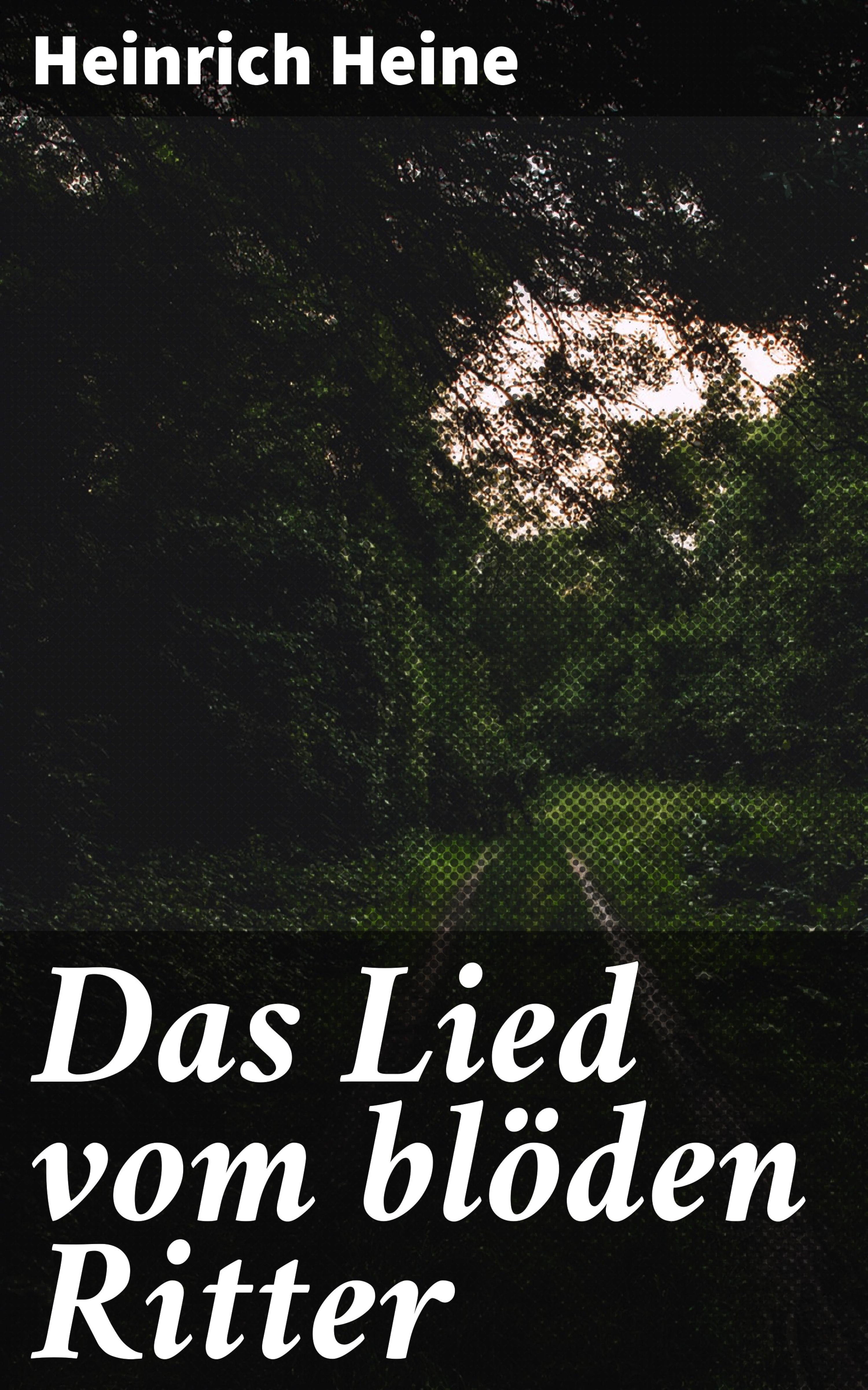 Обложка книги «Das Lied vom blöden Ritter»