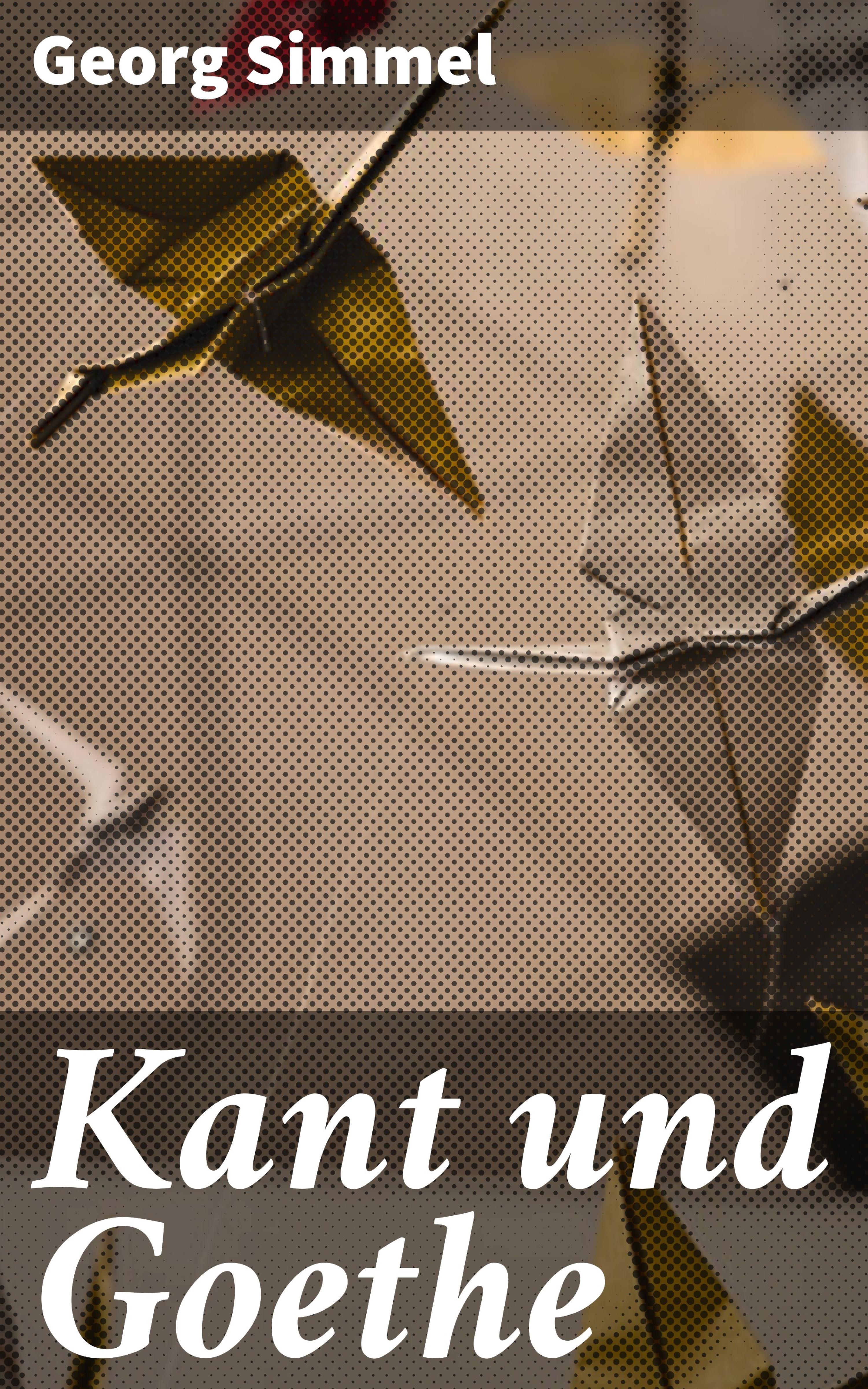 Обложка книги «Kant und Goethe»