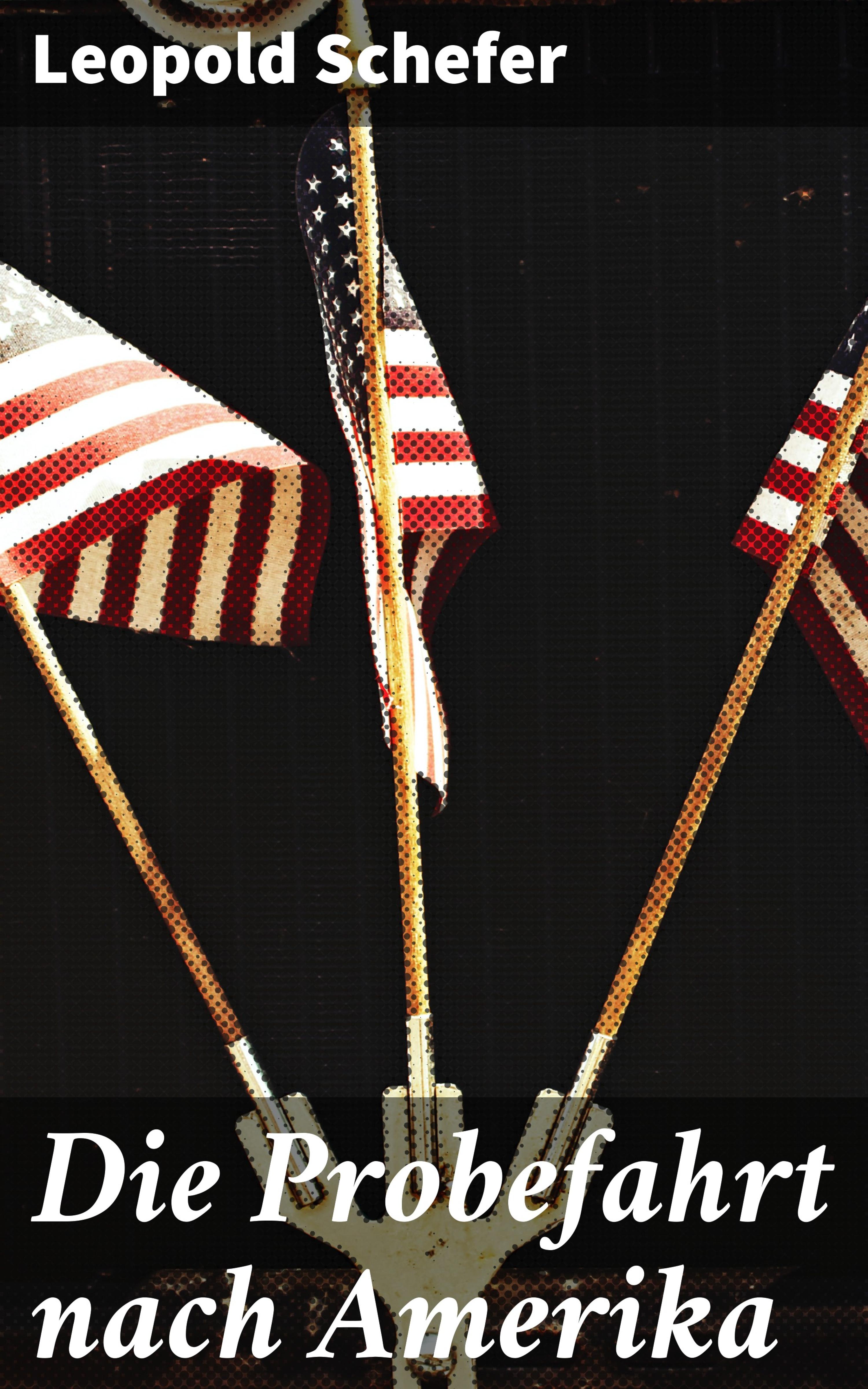 Обложка книги «Die Probefahrt nach Amerika»