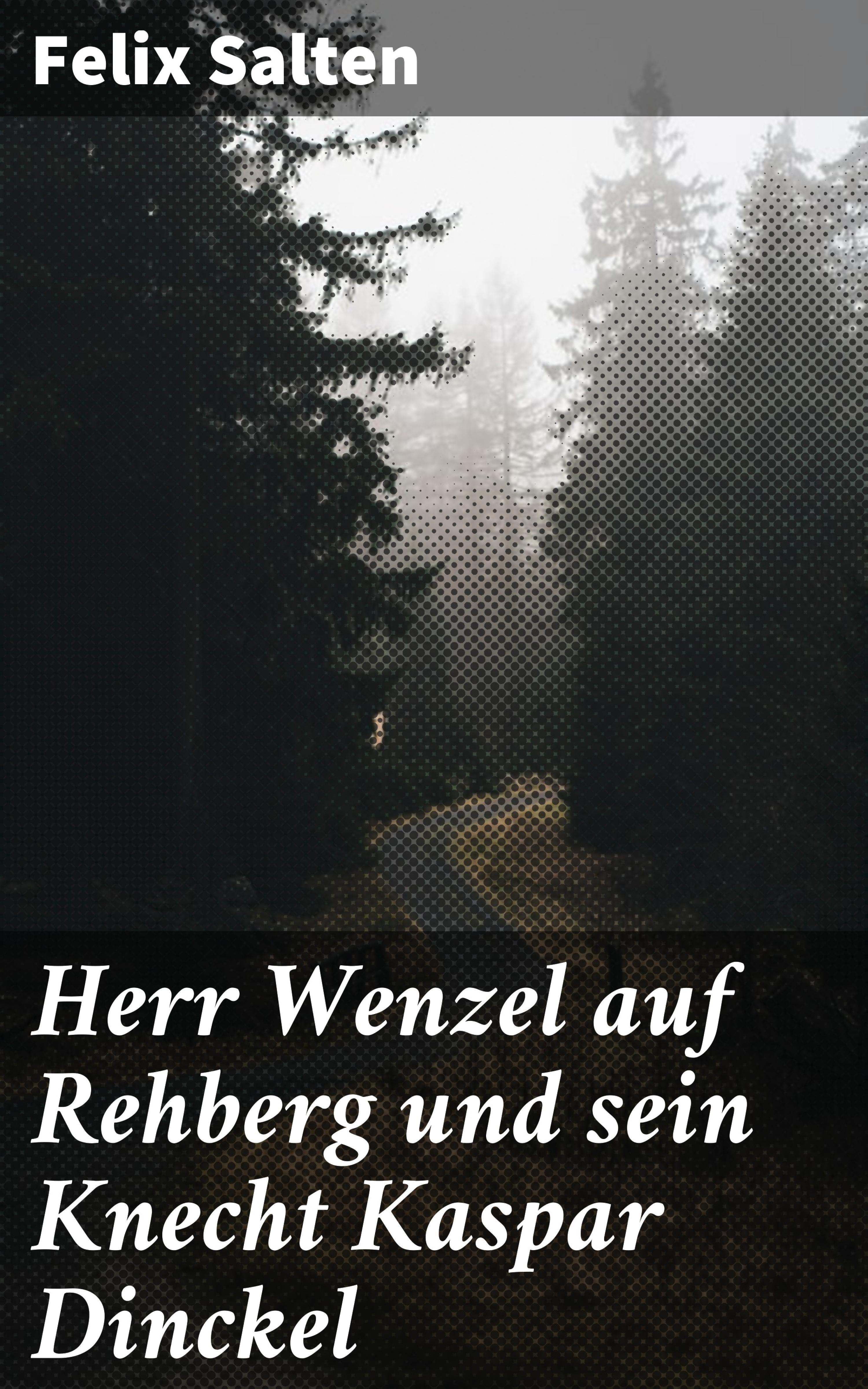 Обложка книги «Herr Wenzel auf Rehberg und sein Knecht Kaspar Dinckel»