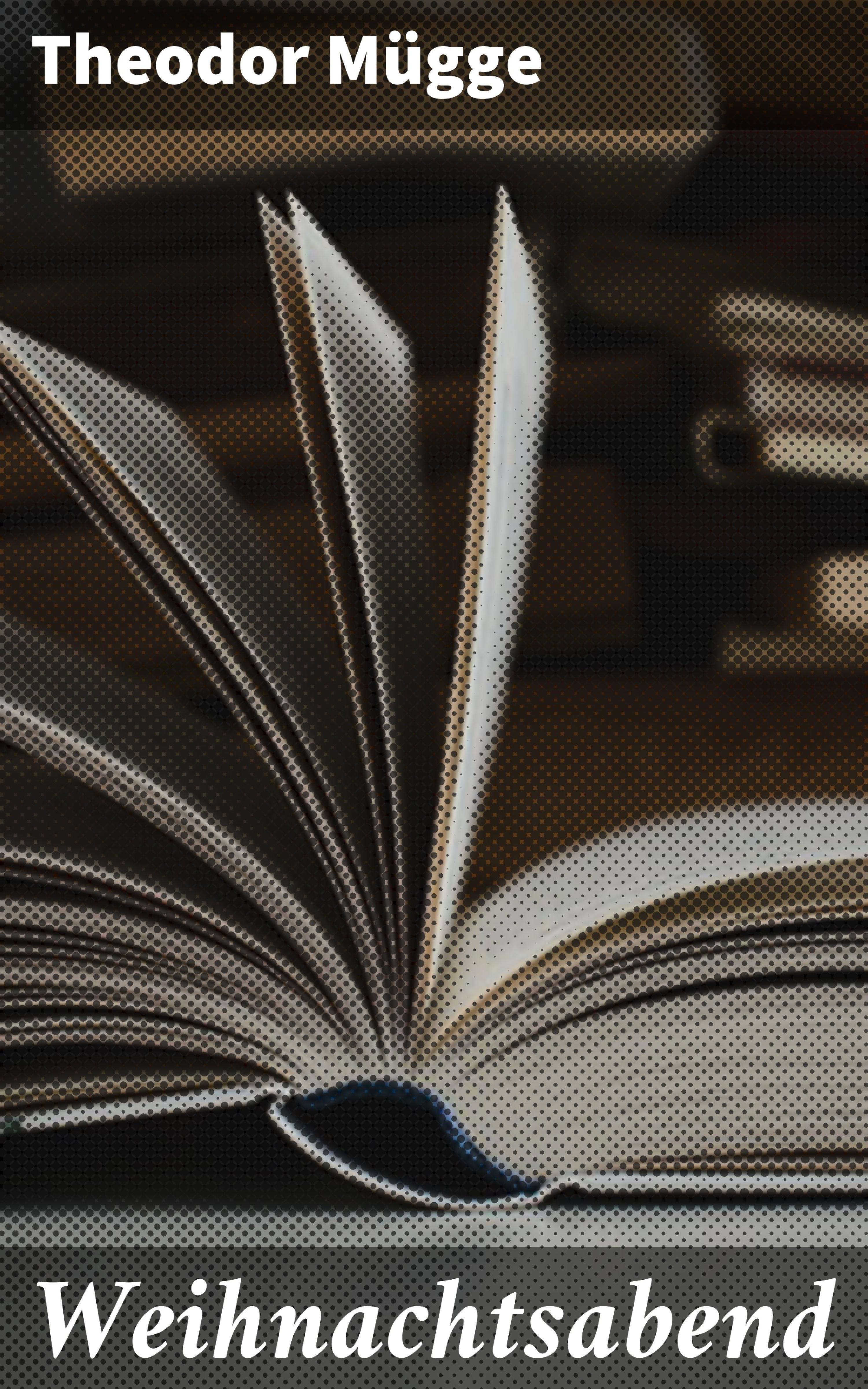 Обложка книги «Weihnachtsabend»