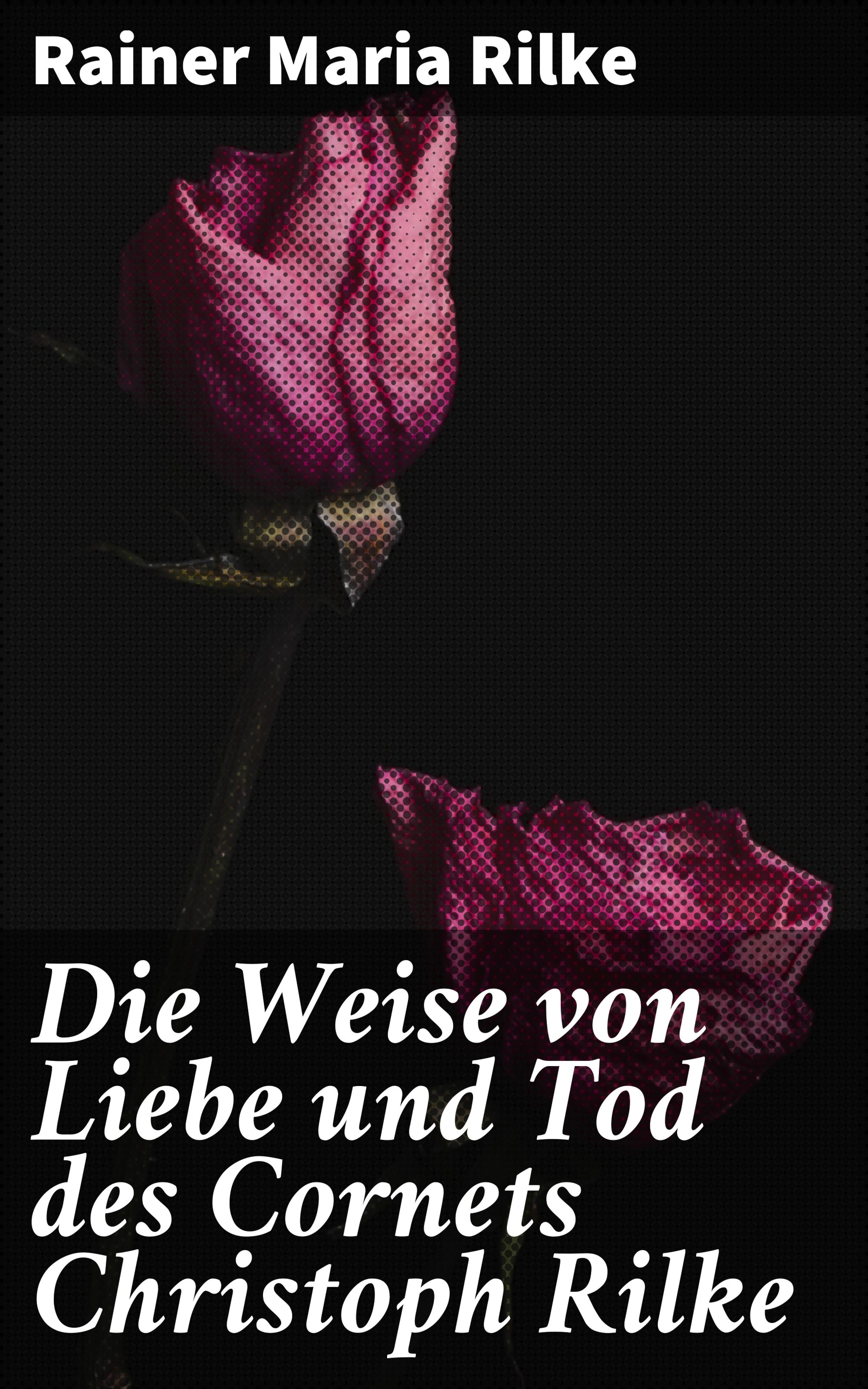 Обложка книги «Die Weise von Liebe und Tod des Cornets Christoph Rilke»