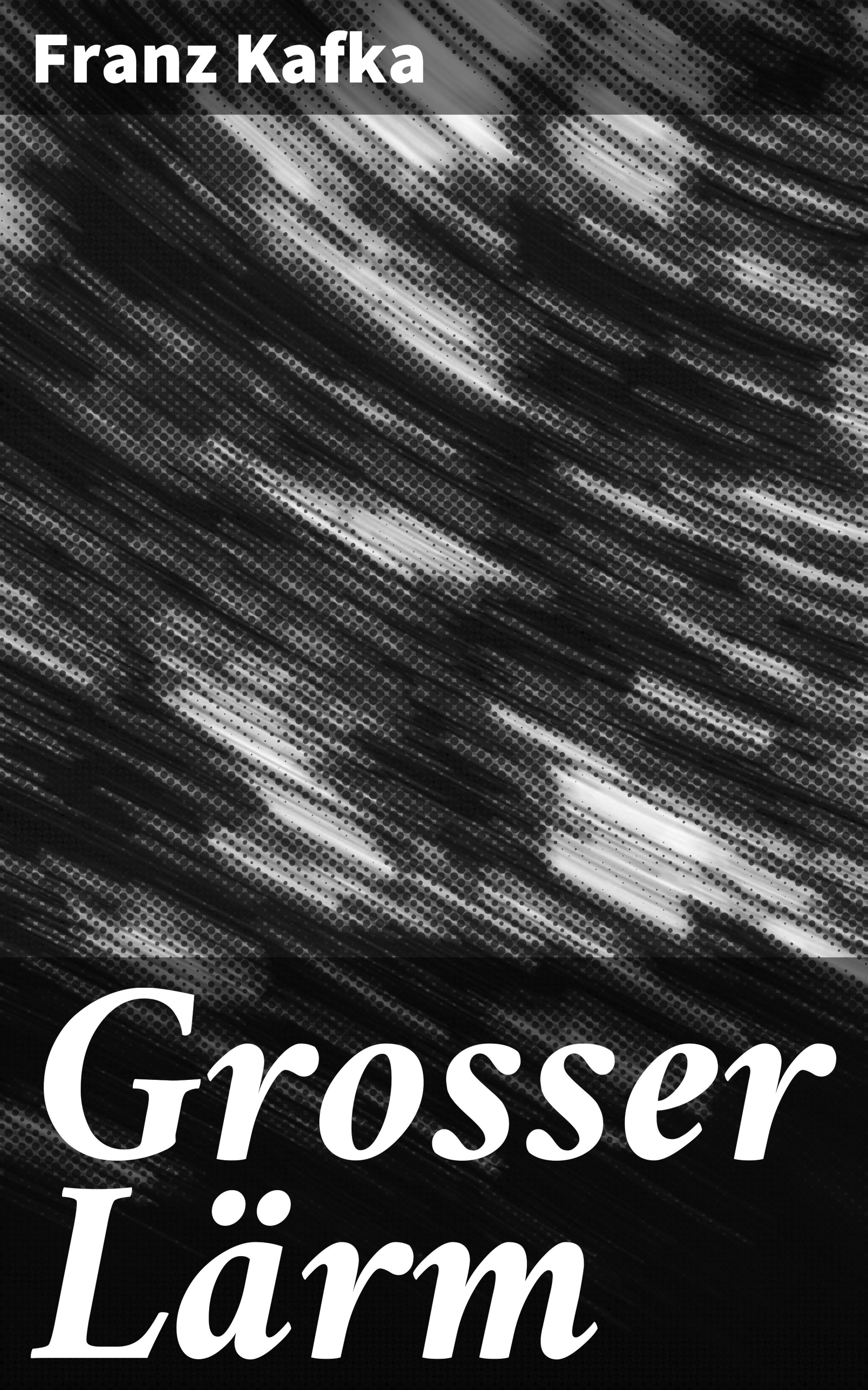 Обложка книги «Grosser Lärm»