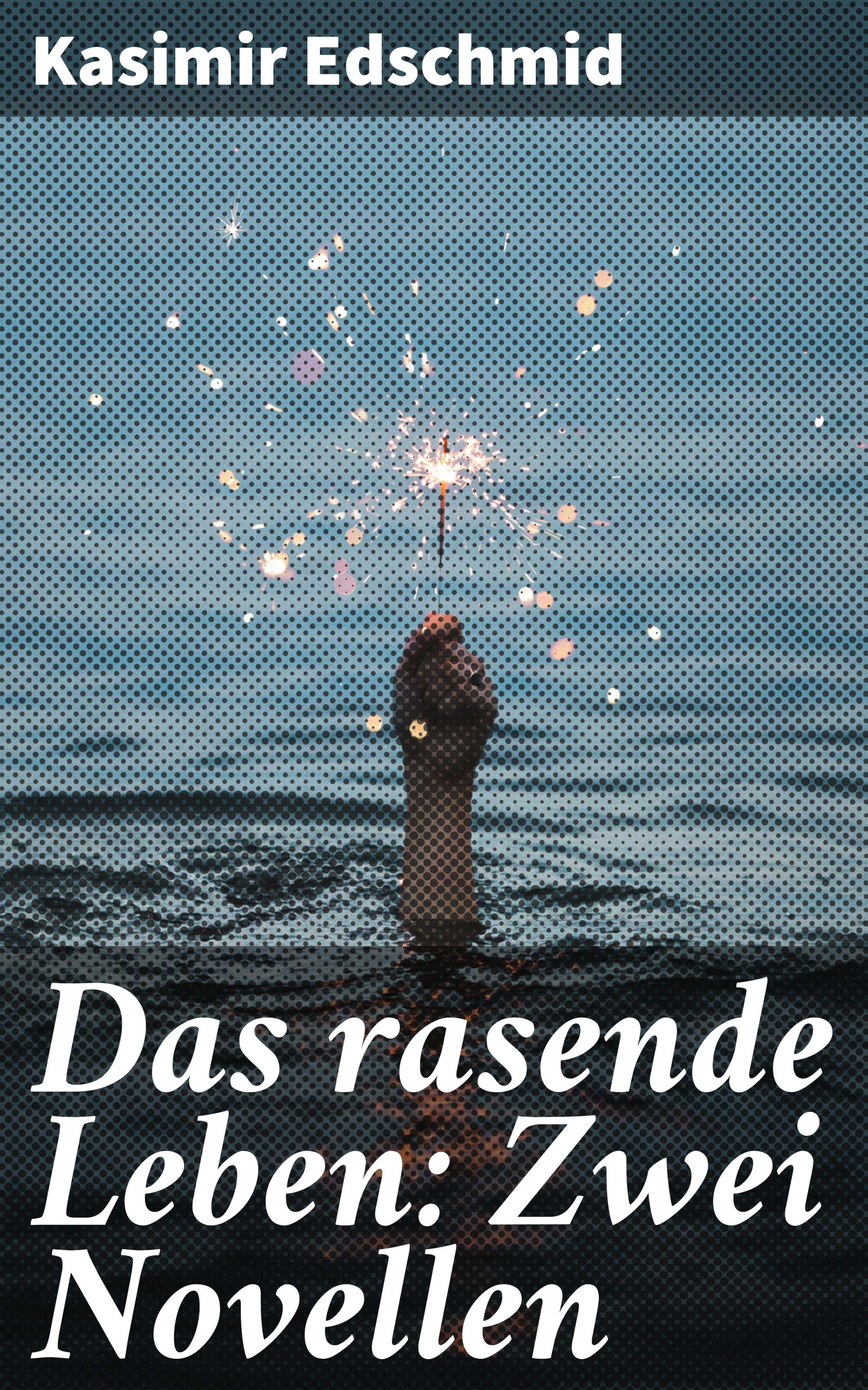 Обложка книги «Das rasende Leben: Zwei Novellen»