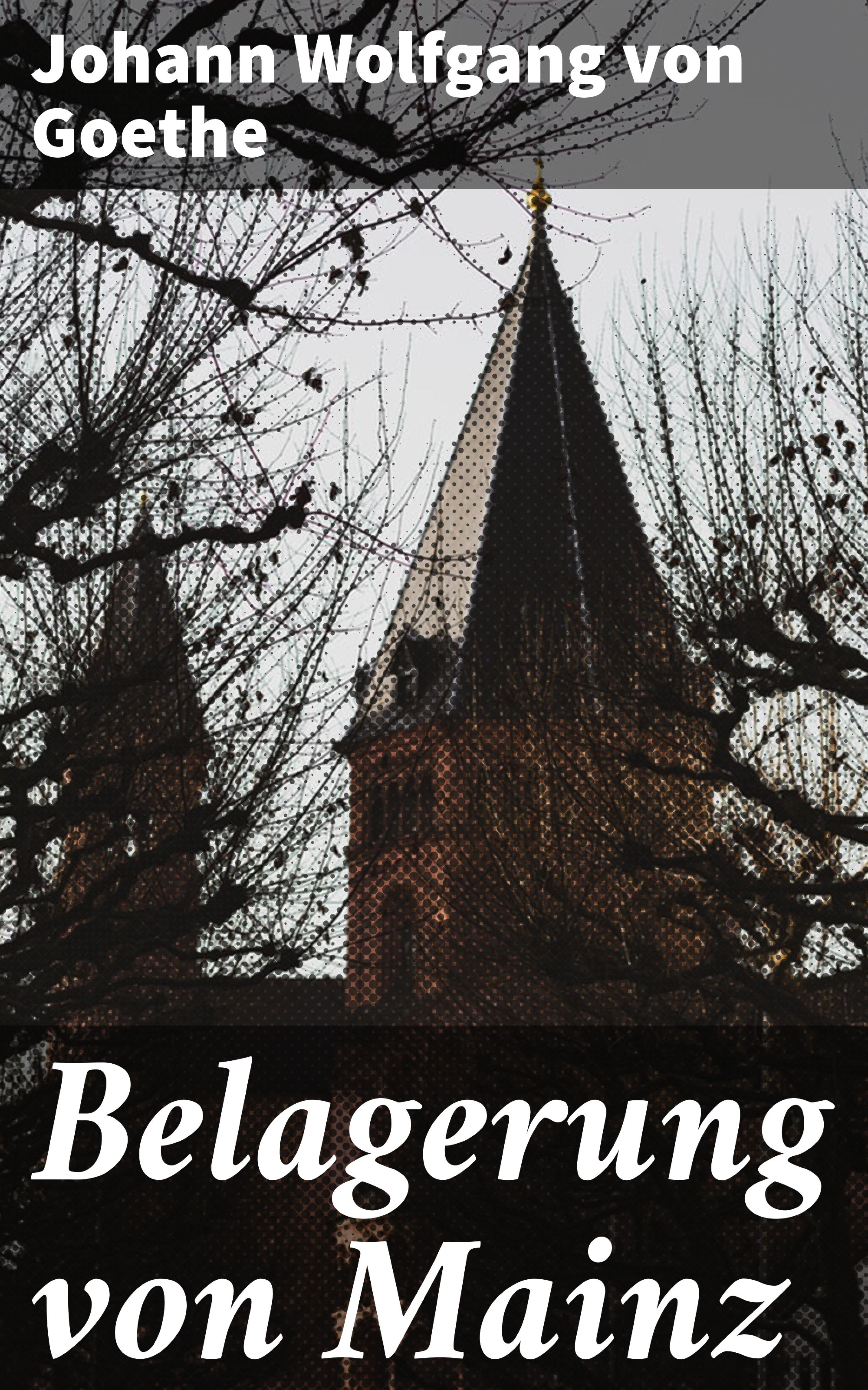 Обложка книги «Belagerung von Mainz»