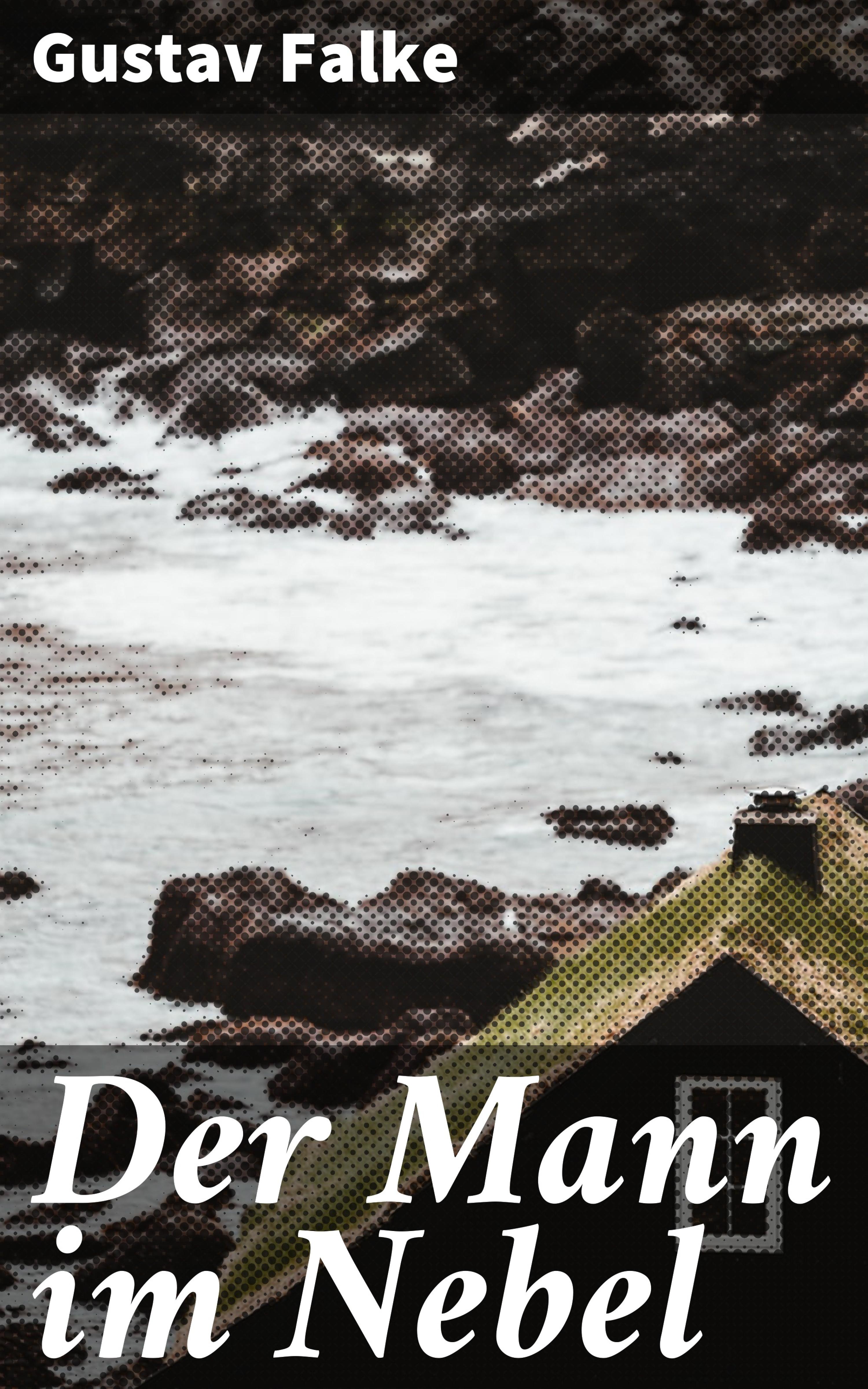 Обложка книги «Der Mann im Nebel»