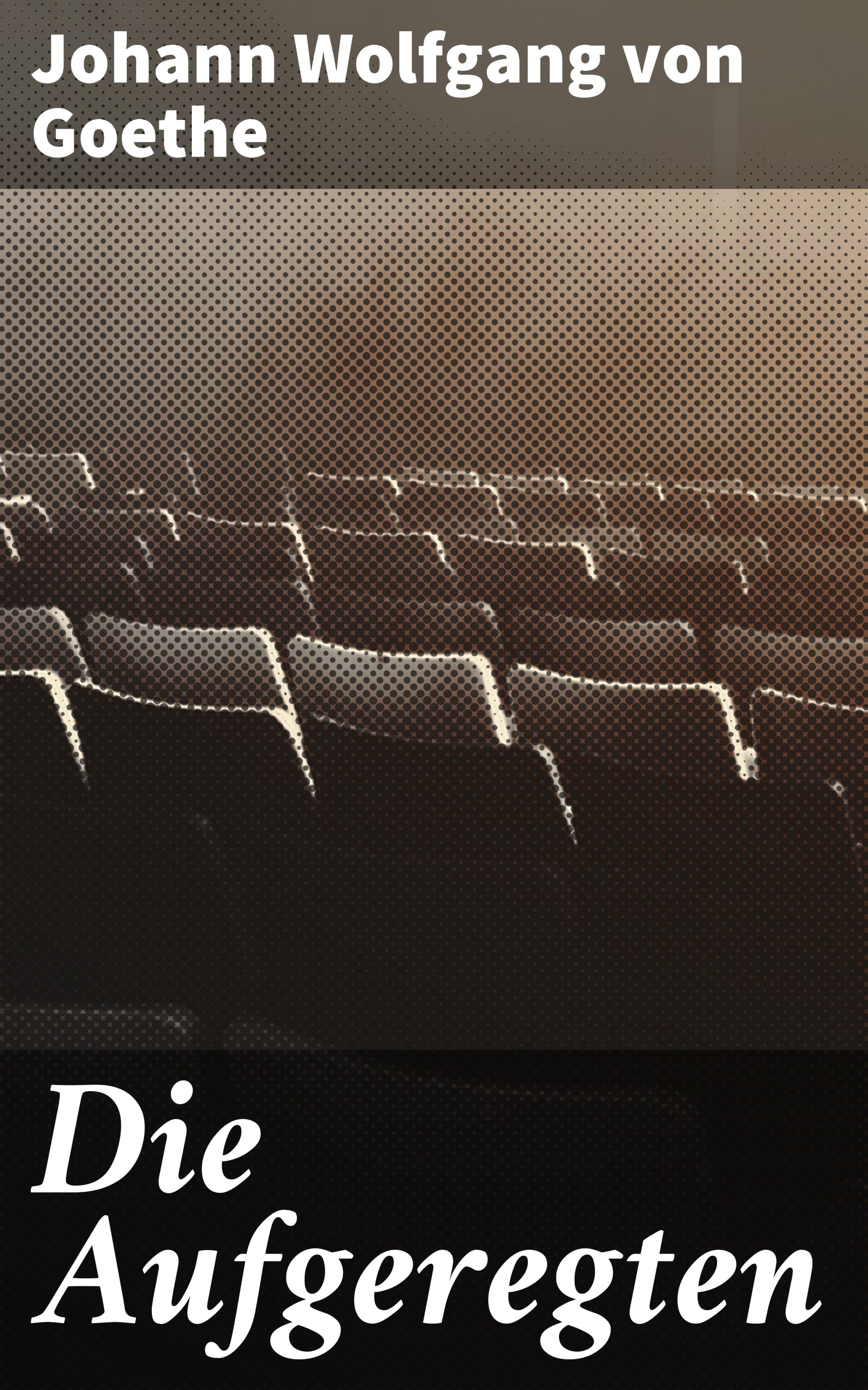 Обложка книги «Die Aufgeregten»
