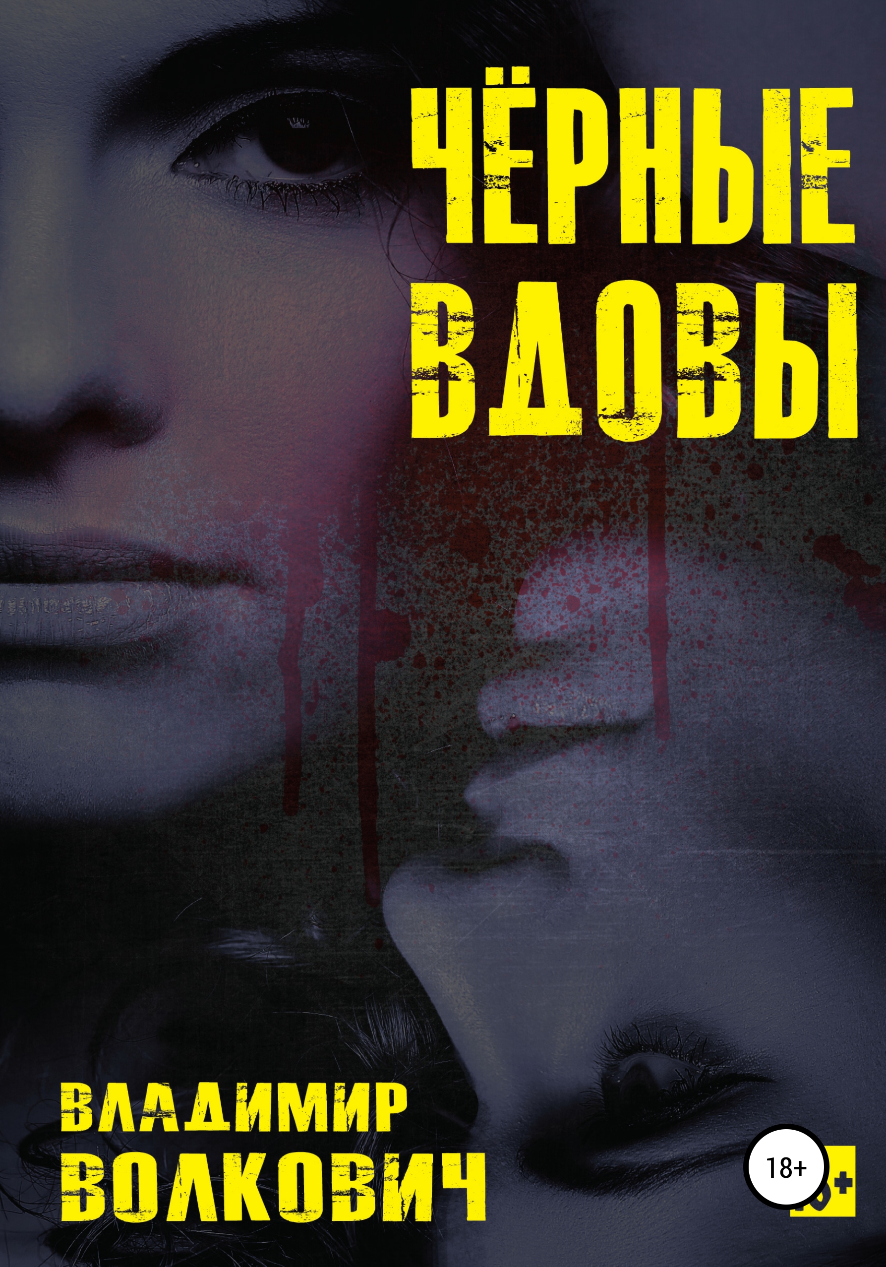 Обложка книги «Чёрные вдовы»