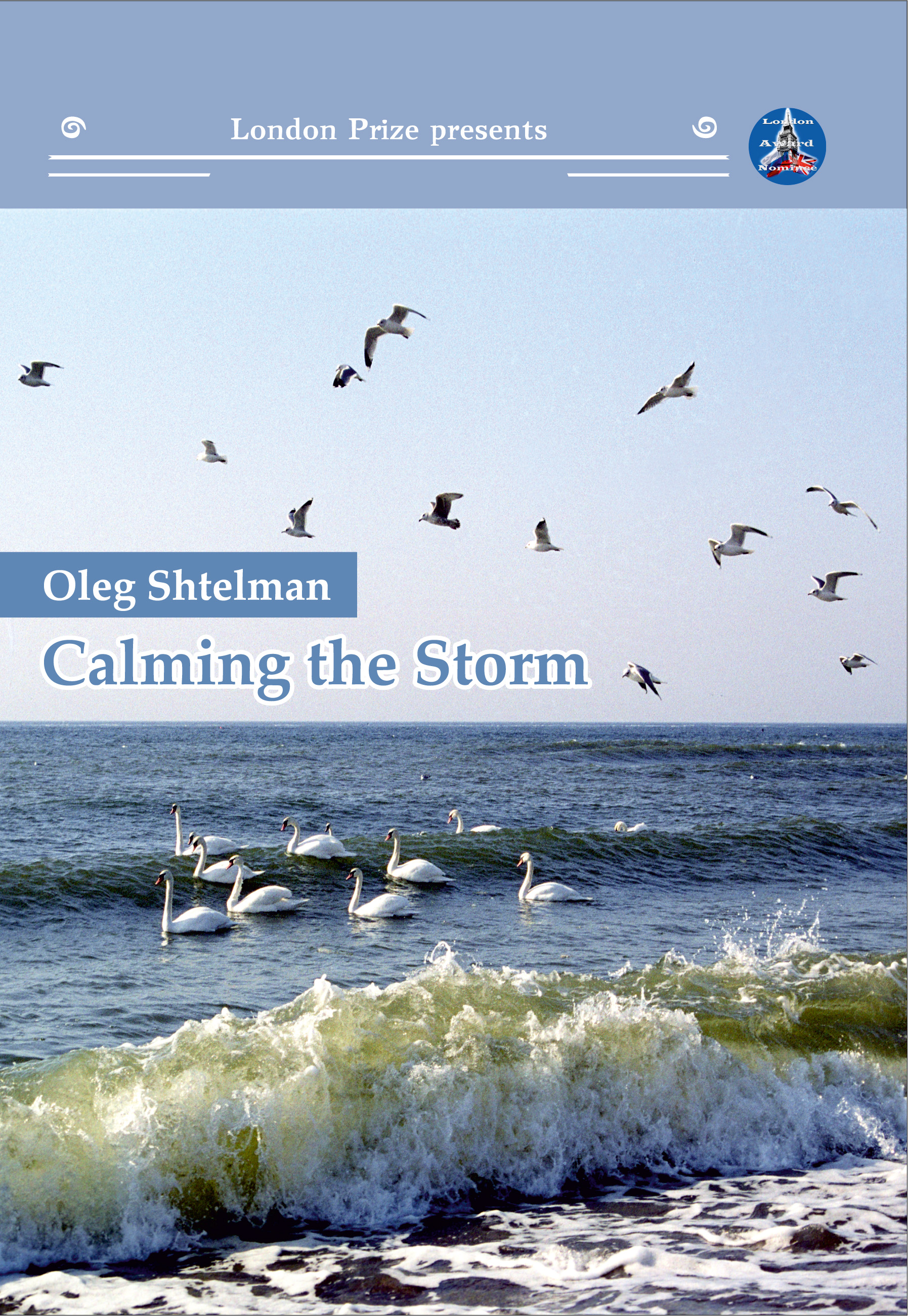 Обложка книги «Calming the Storm»
