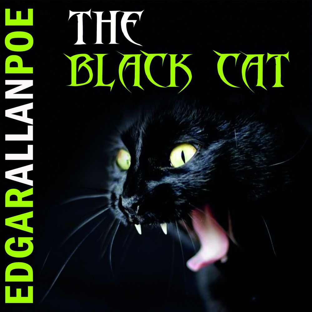Обложка книги «The Black Cat»