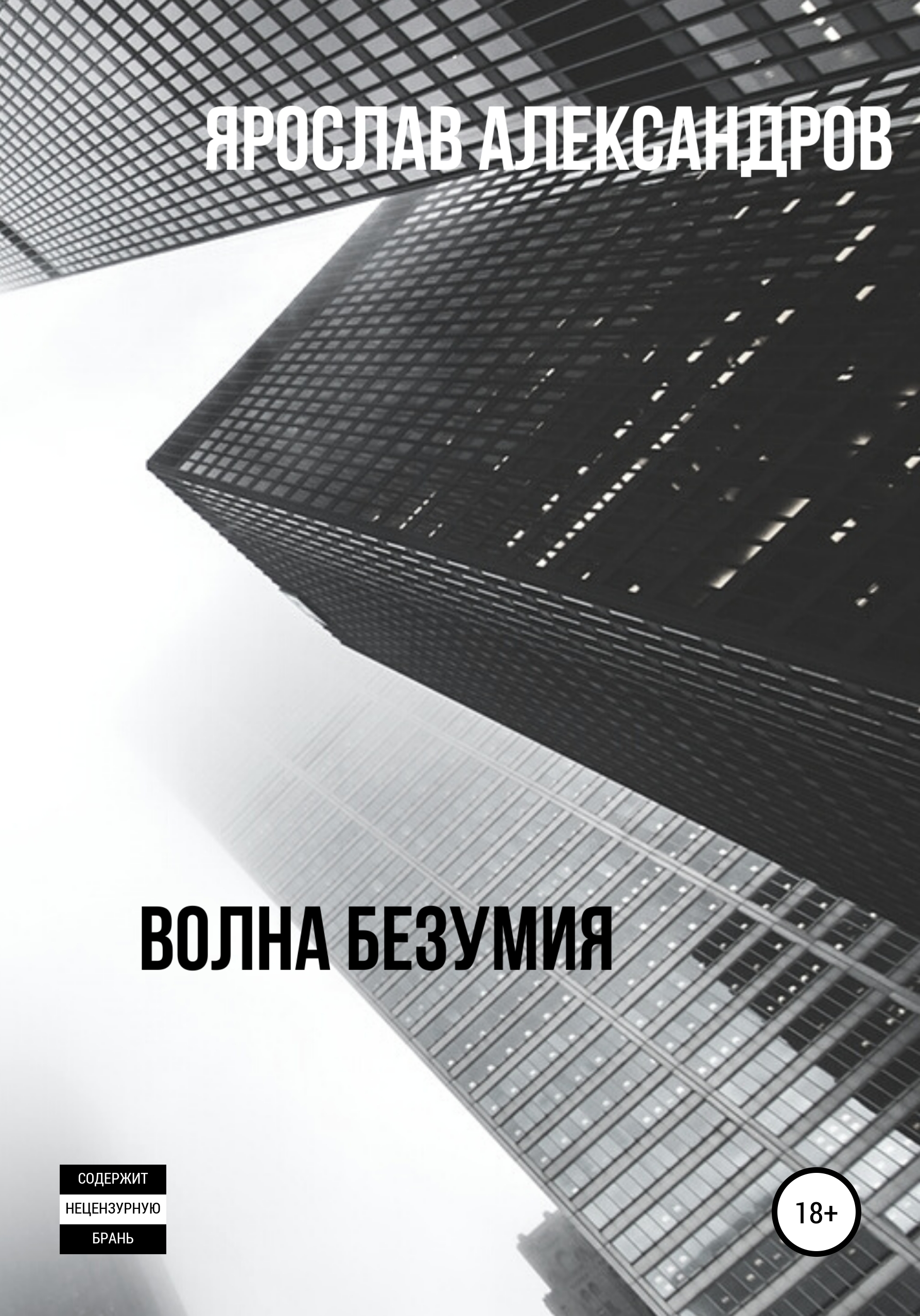 Обложка книги «Волна безумия»