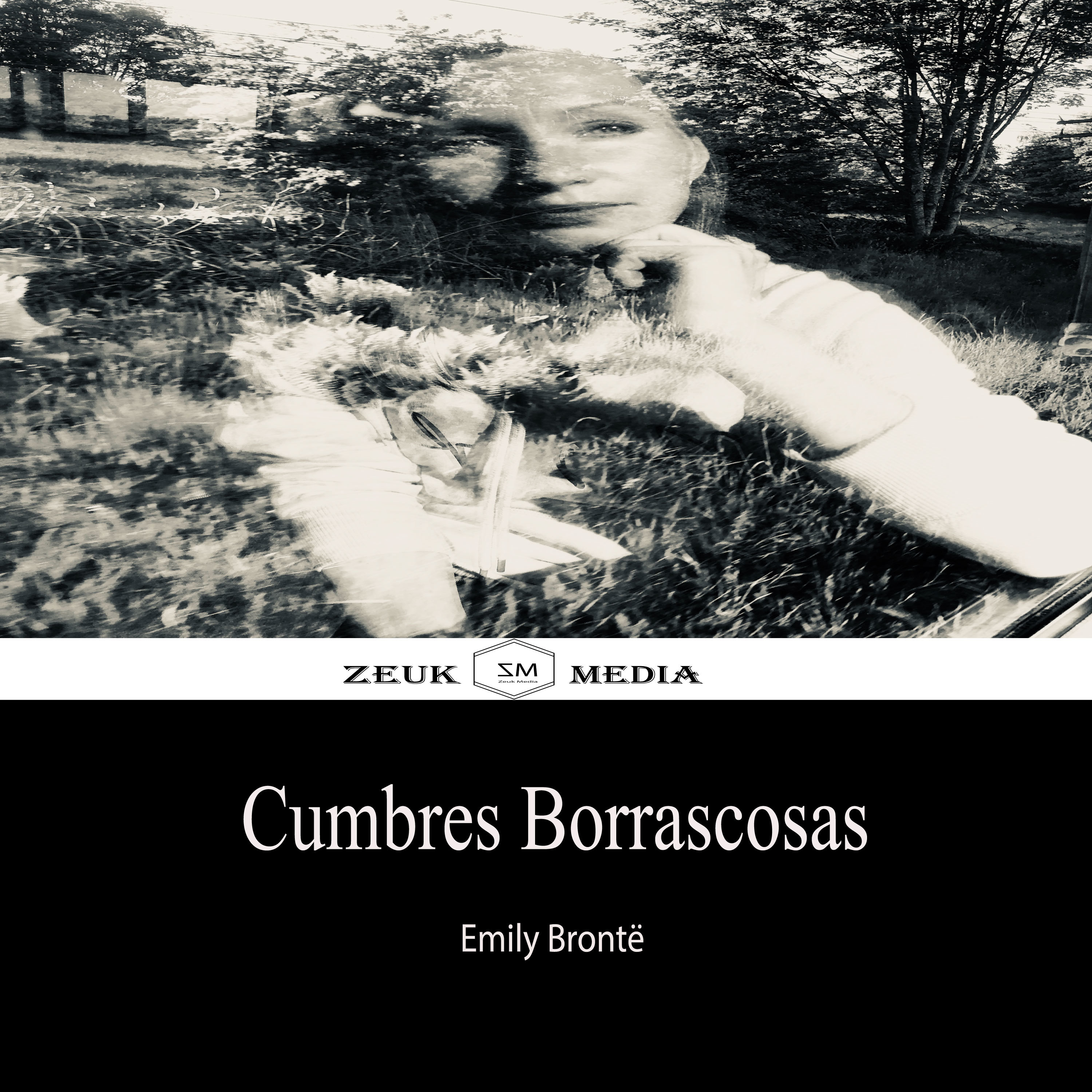 Обложка книги «Cumbres Borrascosas»