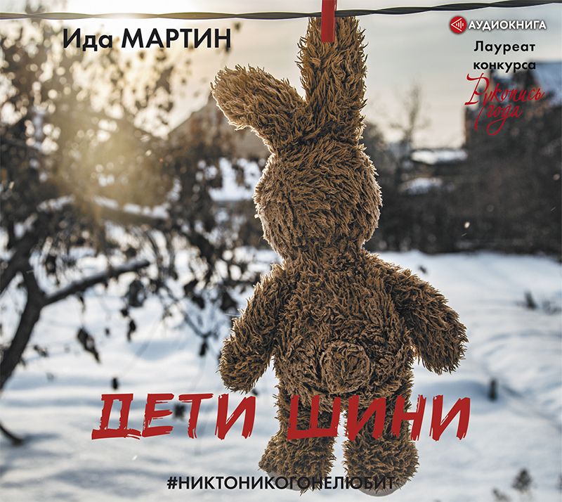 Обложка книги «Дети Шини»