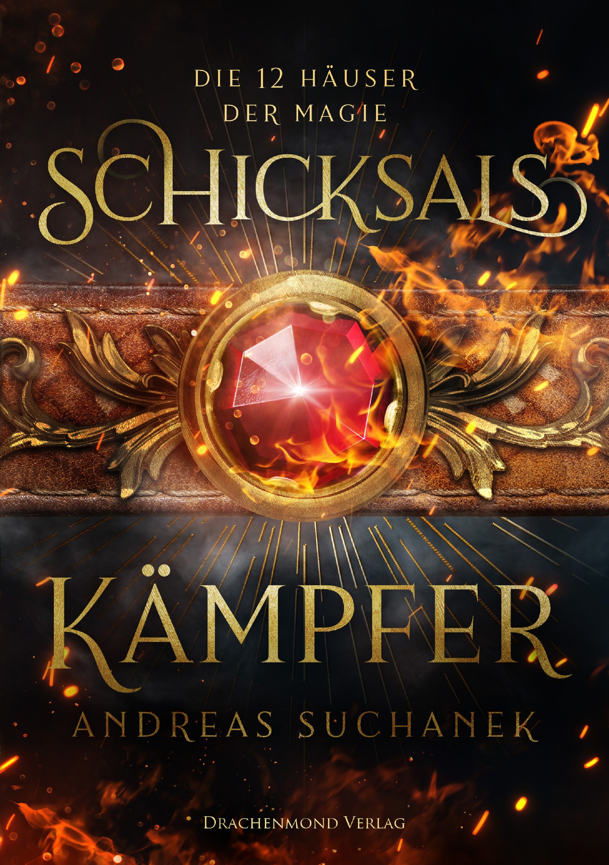 Обложка книги «Die 12 Häuser der Magie - Schicksalskämpfer»