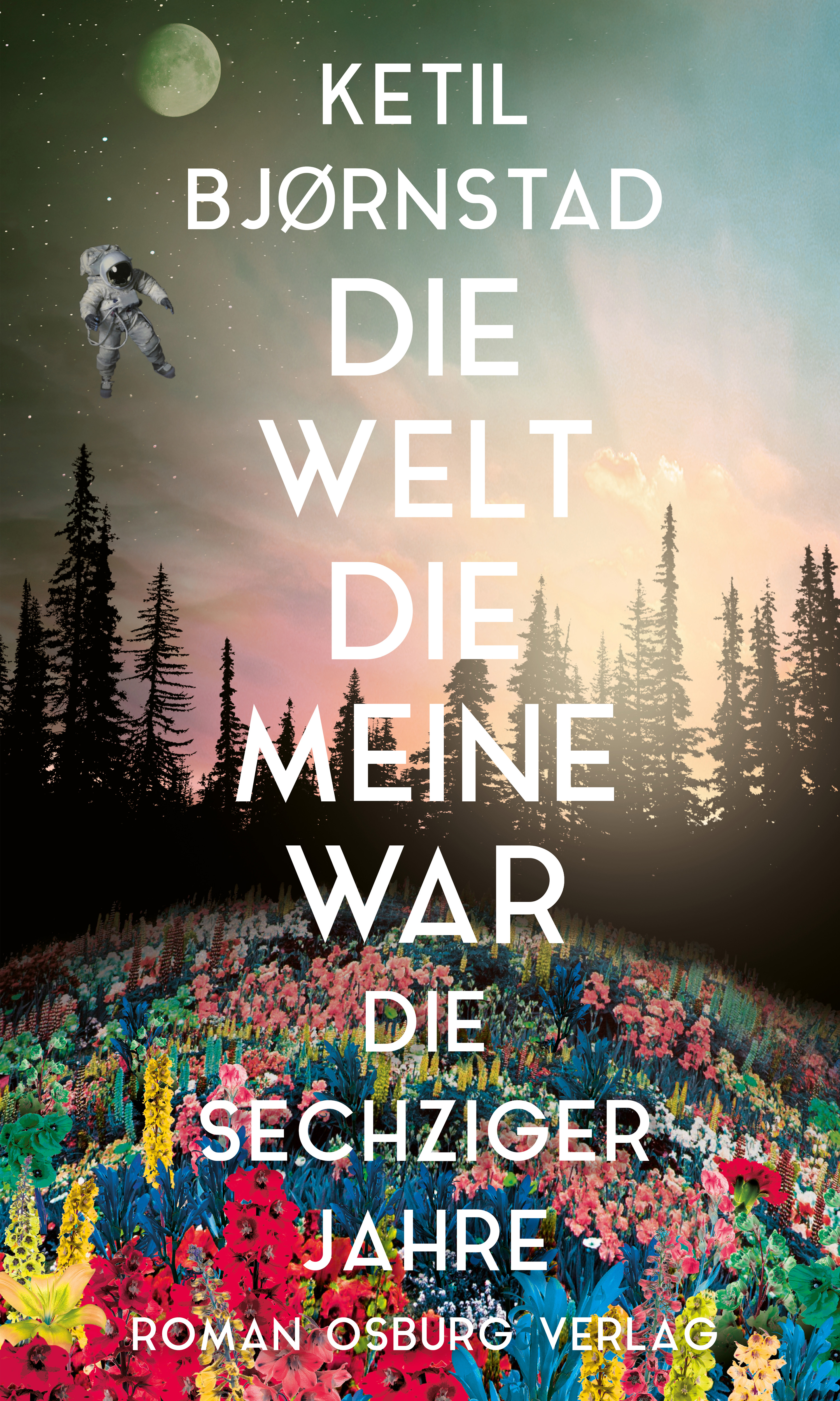 Обложка книги «Die Welt, die meine war»