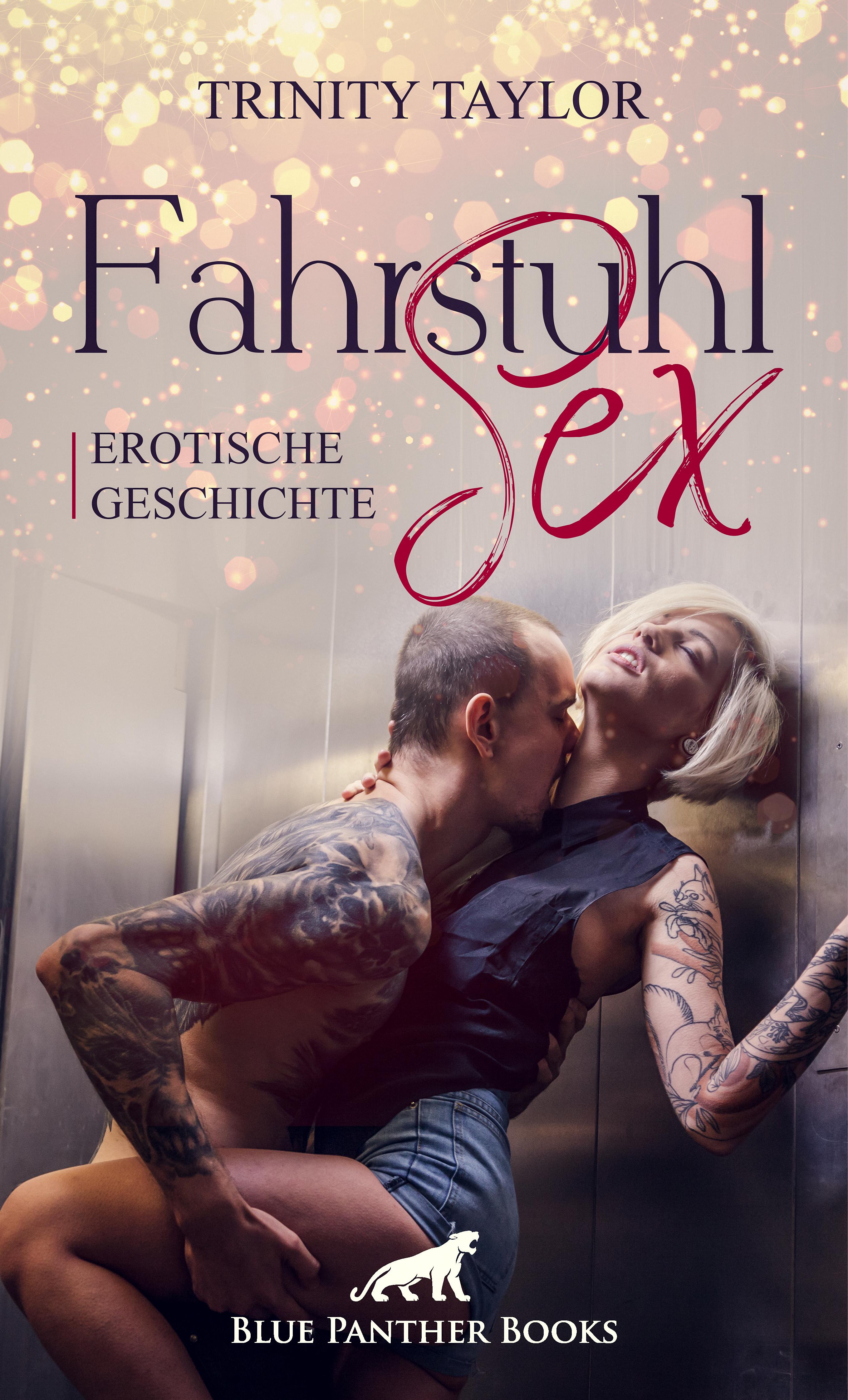 Обложка книги «FahrstuhlSex | Erotische Geschichte»