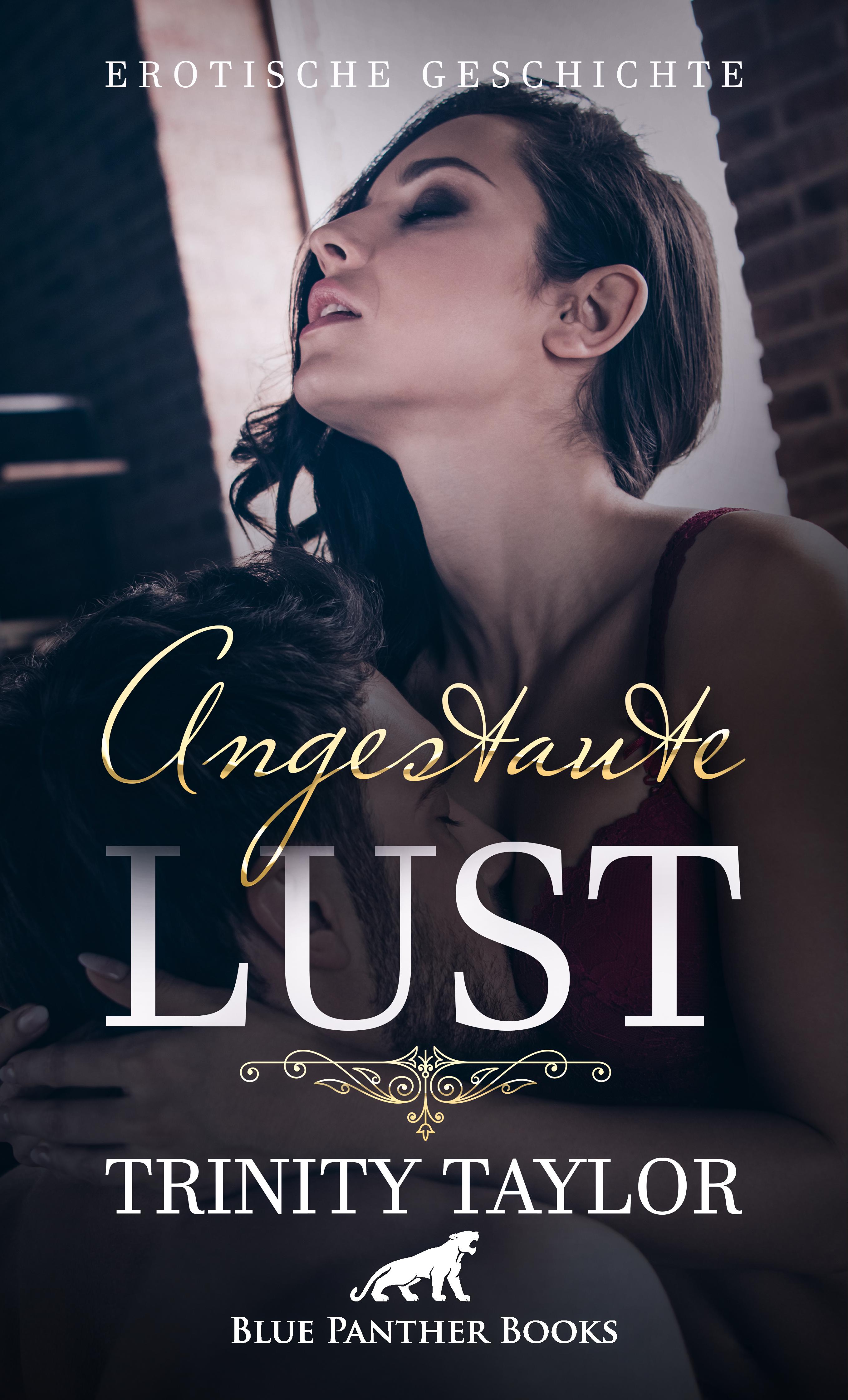 Обложка книги «Angestaute Lust | Erotische Geschichte»