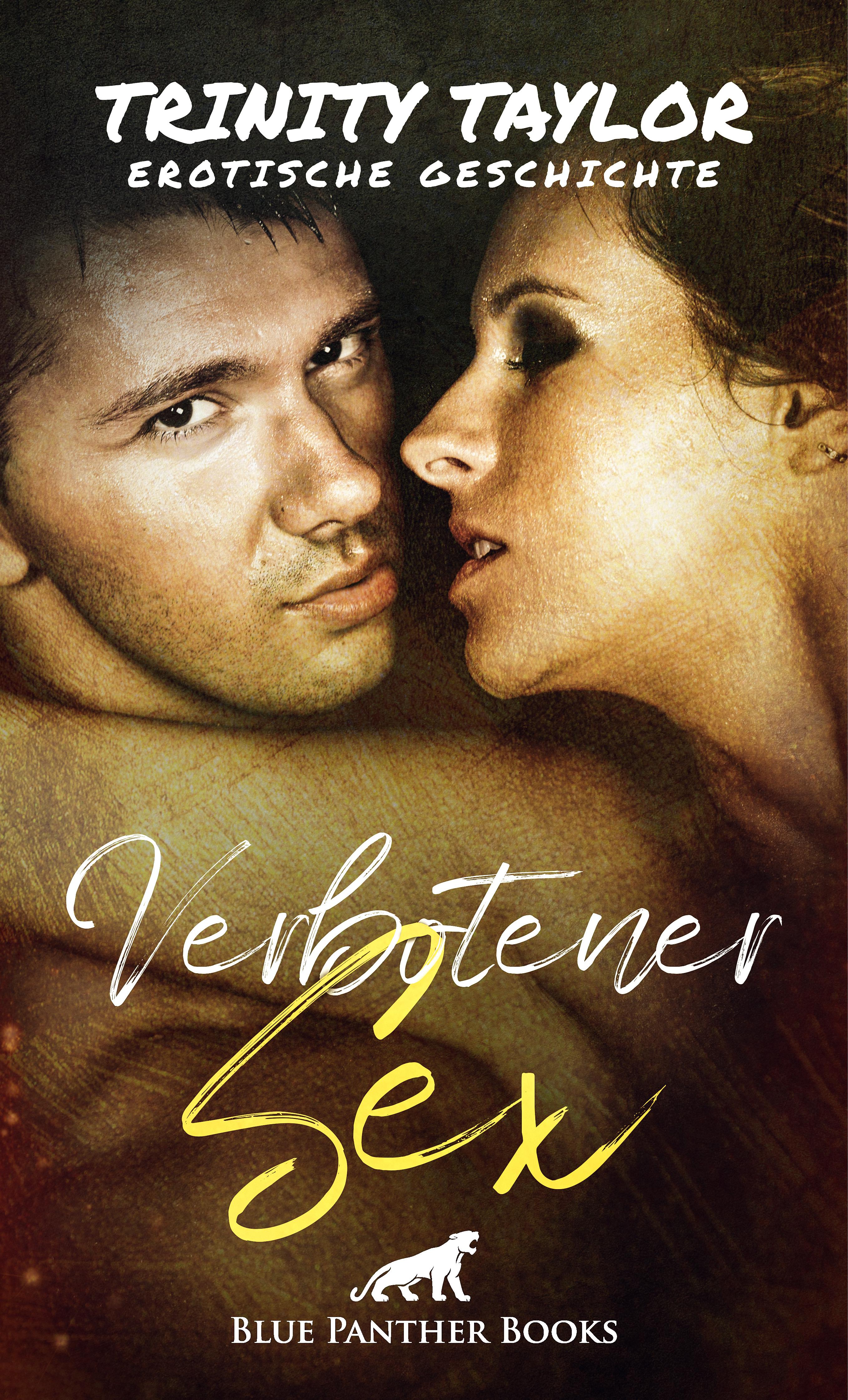 Обложка книги «Verbotener Sex | Erotische Geschichte»