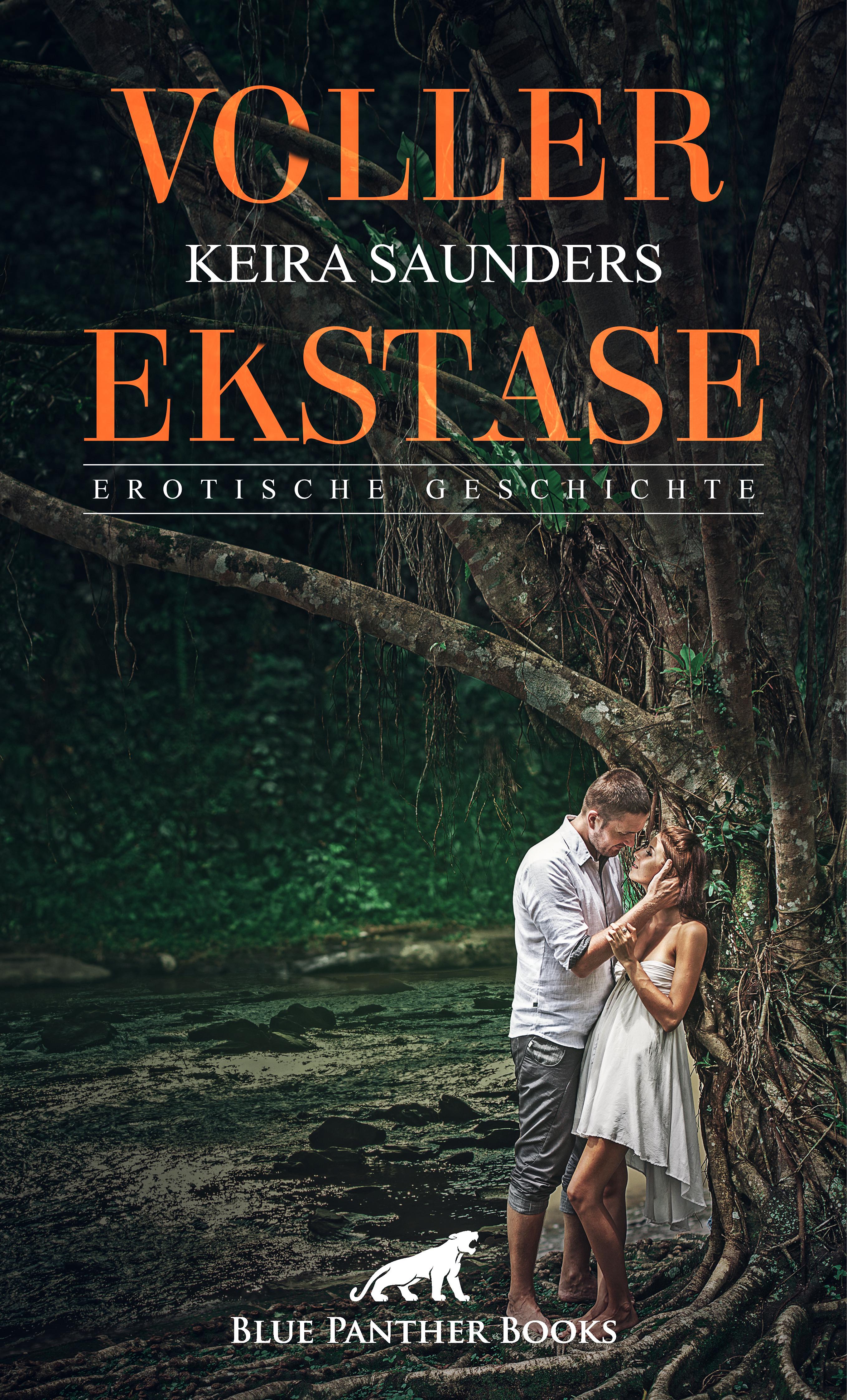 Обложка книги «Voller Ekstase | Erotische Geschichte»