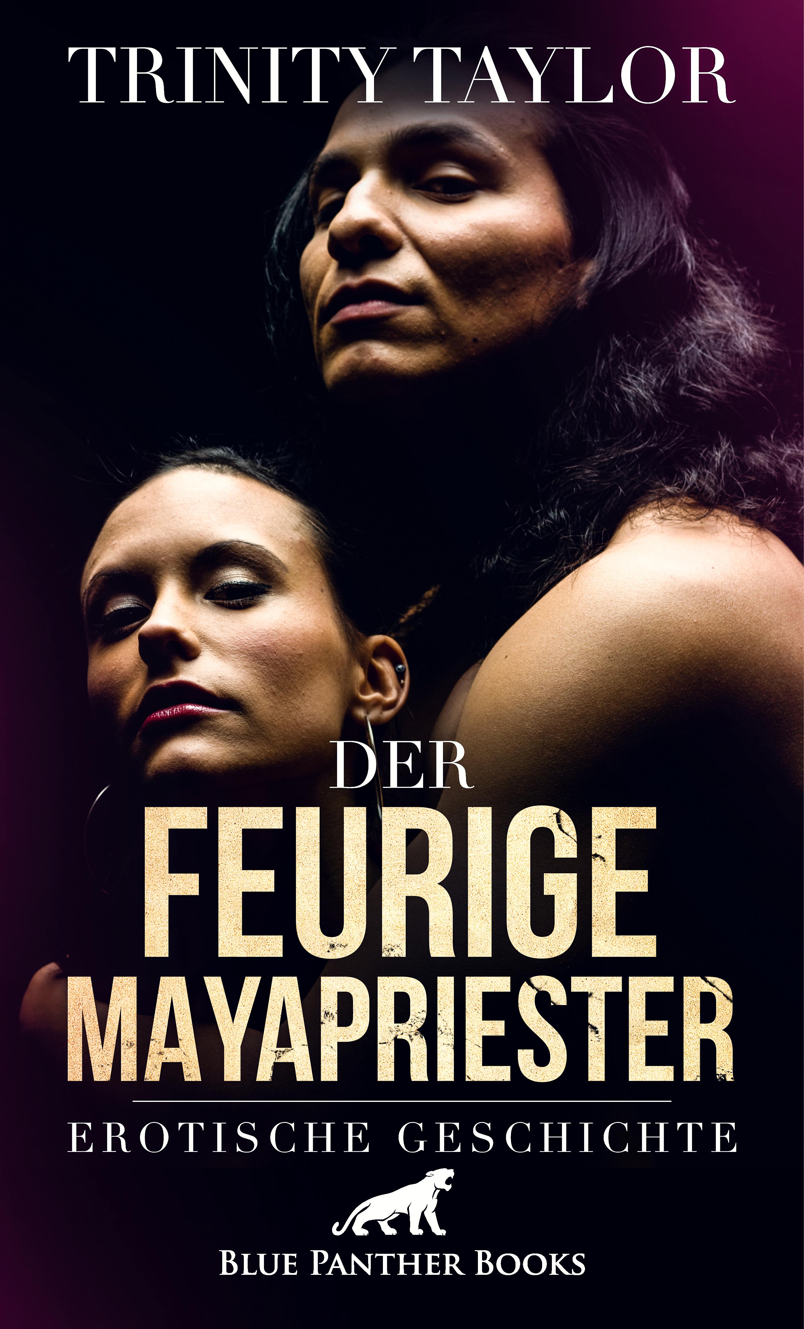 Обложка книги «Der feurige Mayapriester | Erotische Geschichte»