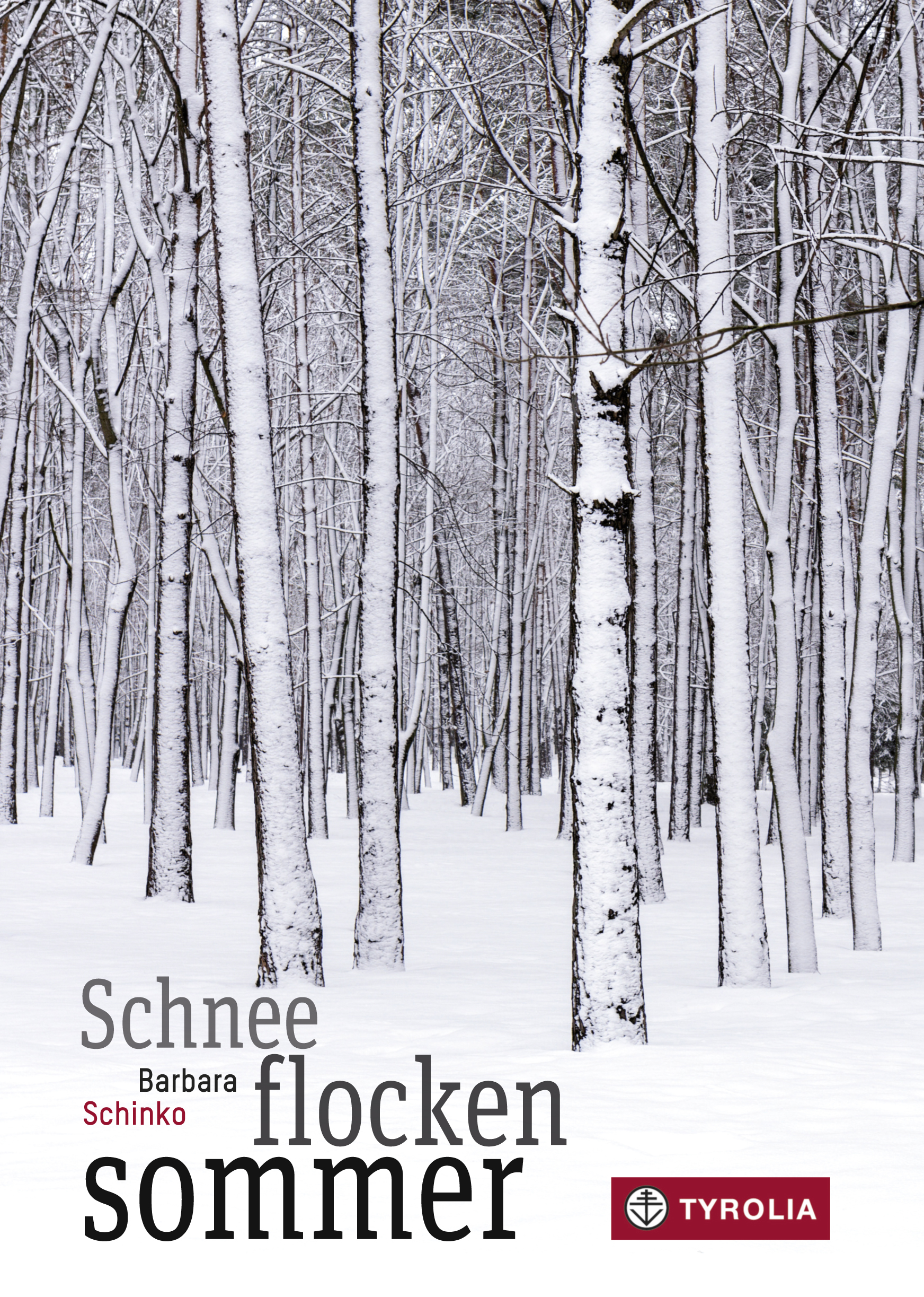 Обложка книги «Schneeflockensommer»