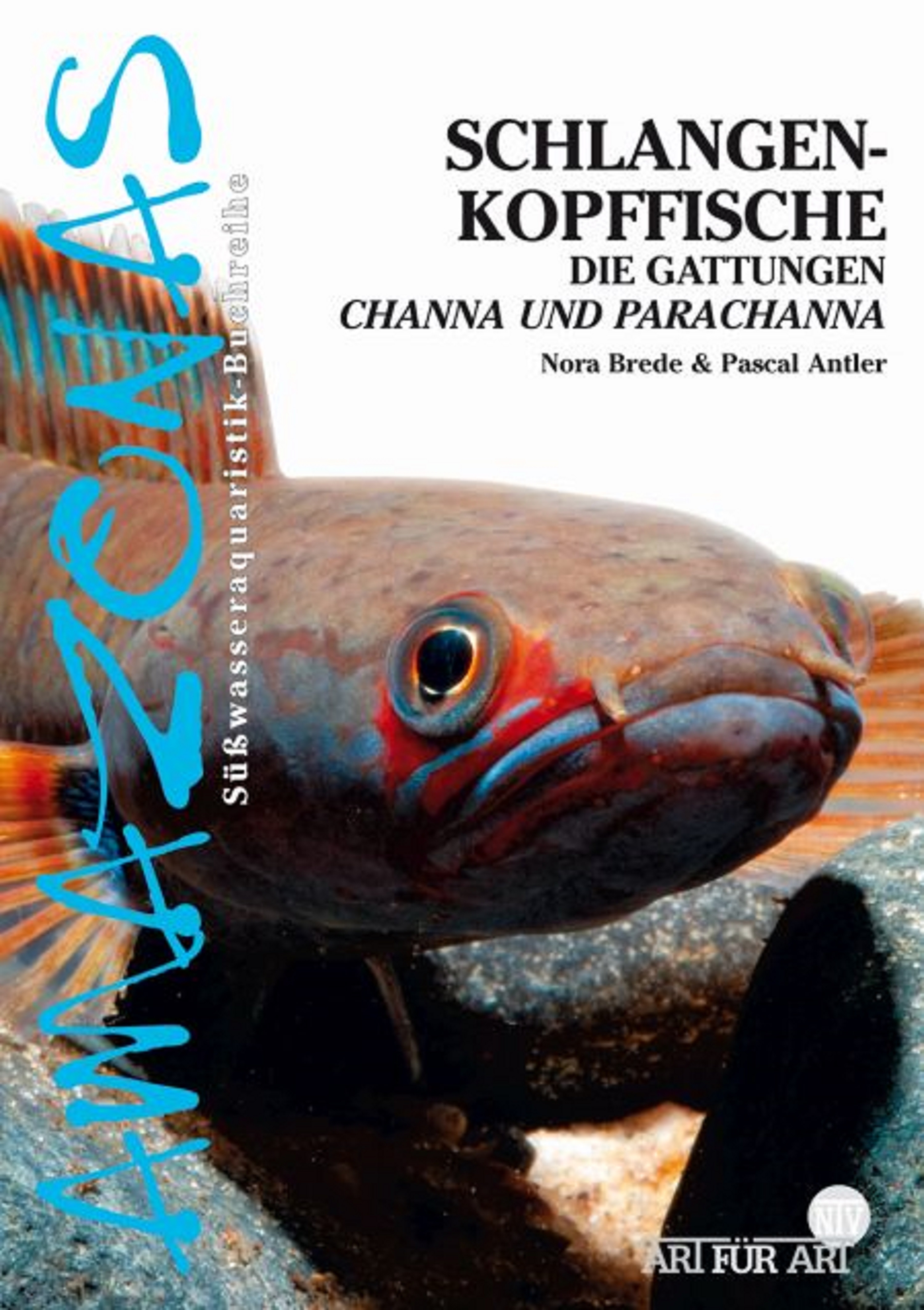 Обложка книги «Schlangenkopffische»