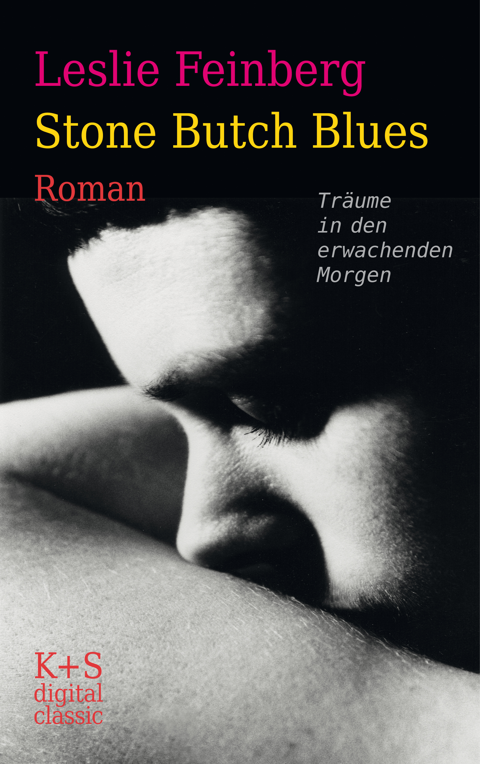 Обложка книги «Stone Butch Blues»