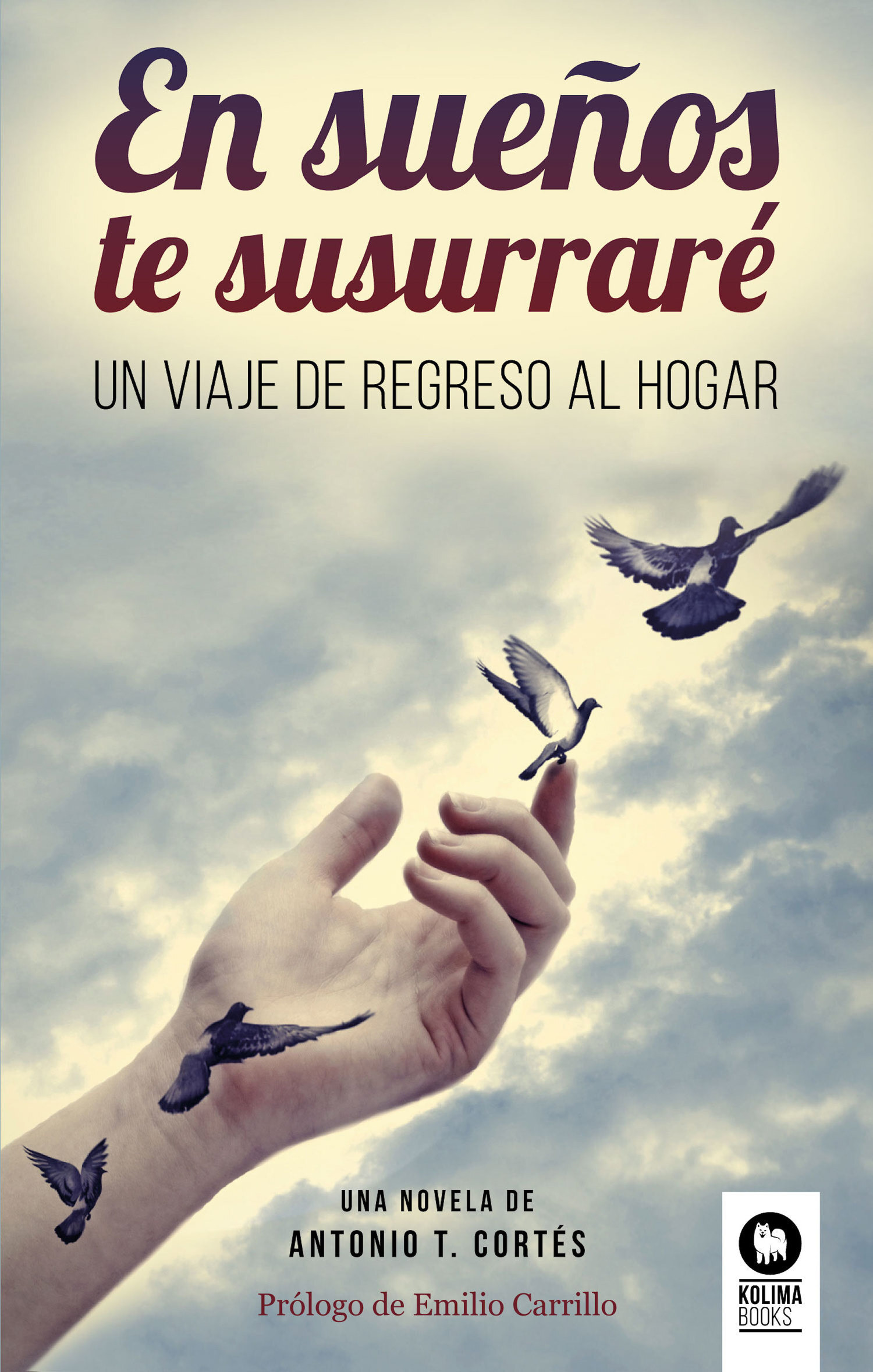 Обложка книги «En sueños te susurraré»