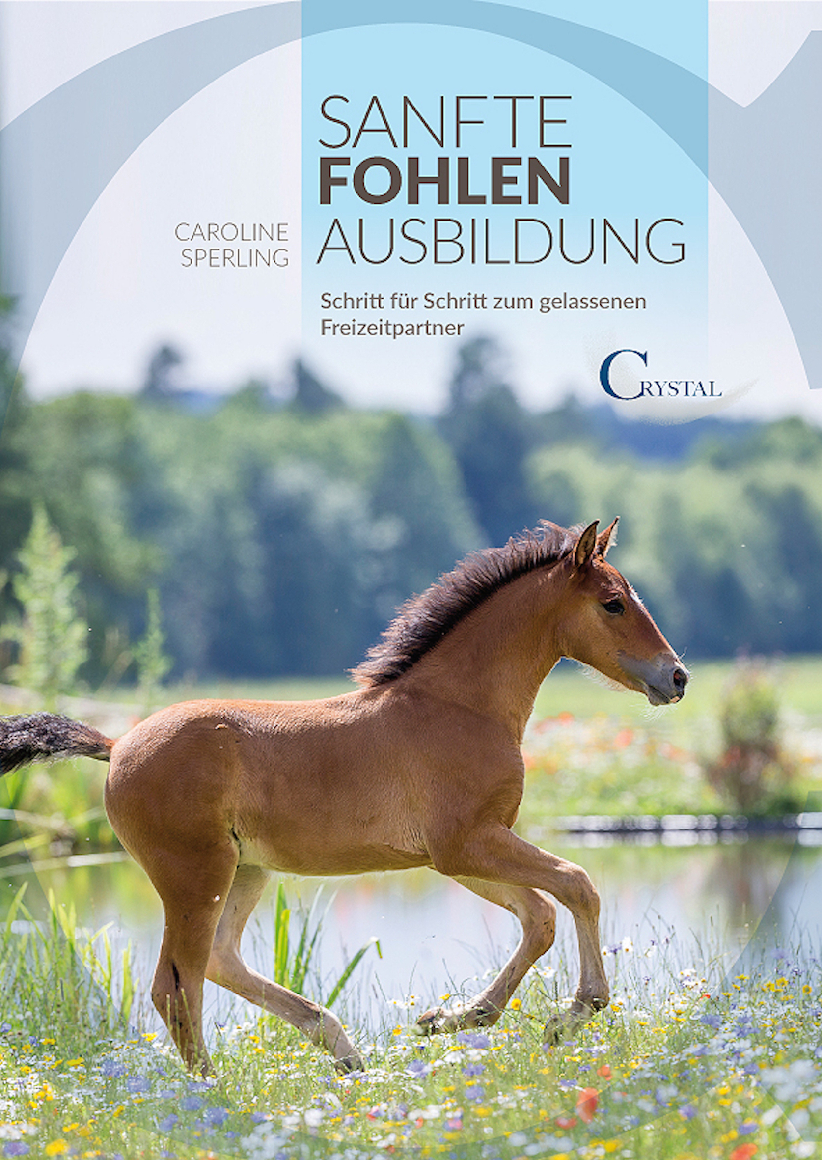 Обложка книги «Sanfte Fohlenausbildung»