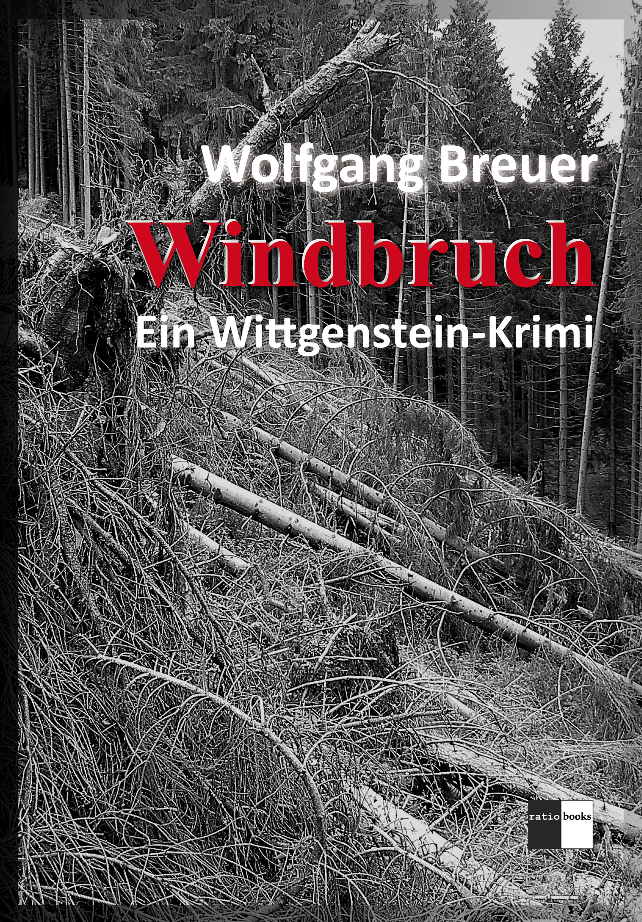 Обложка книги «Windbruch»