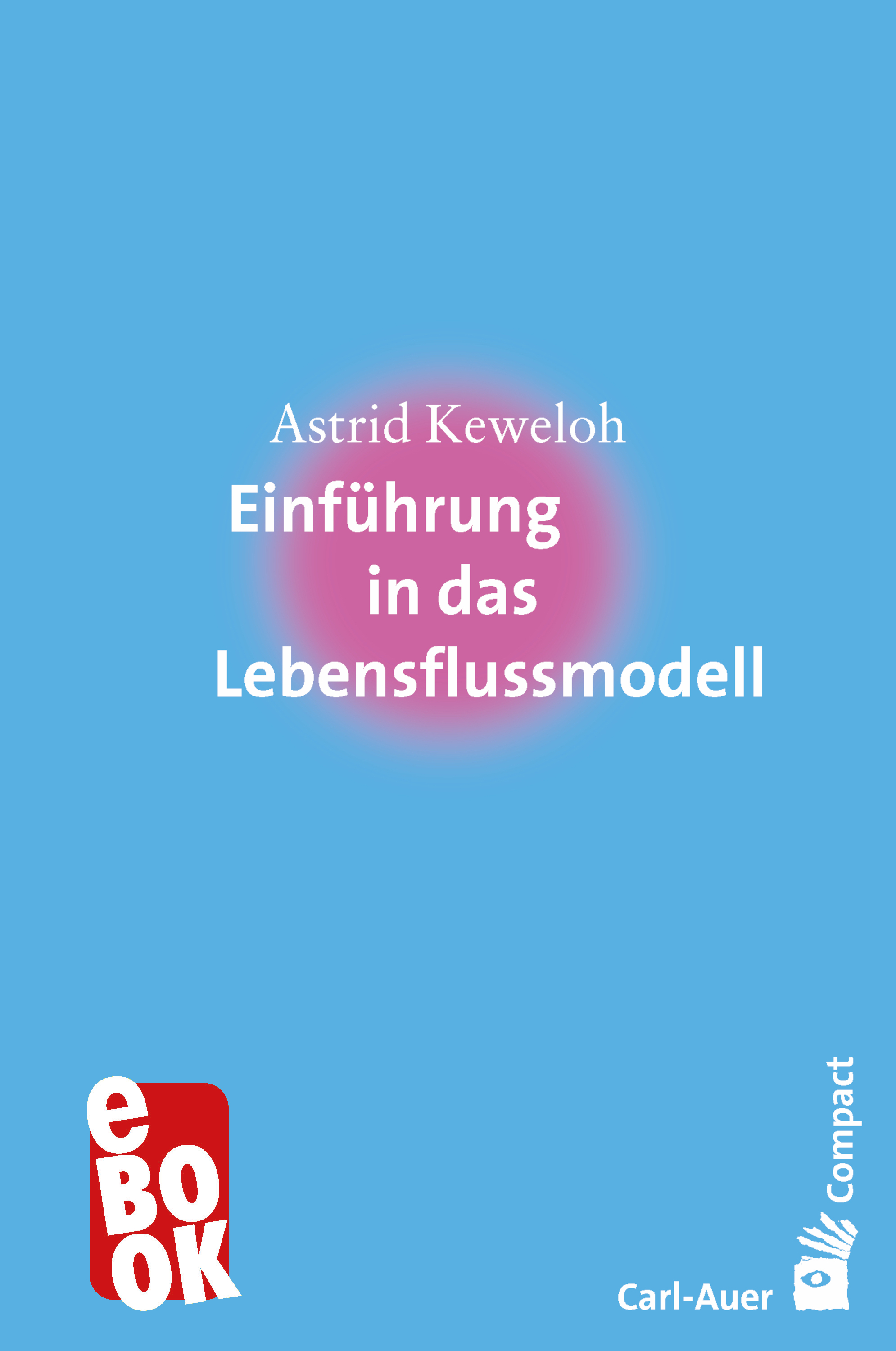 Обложка книги «Einführung in das Lebensflussmodell»