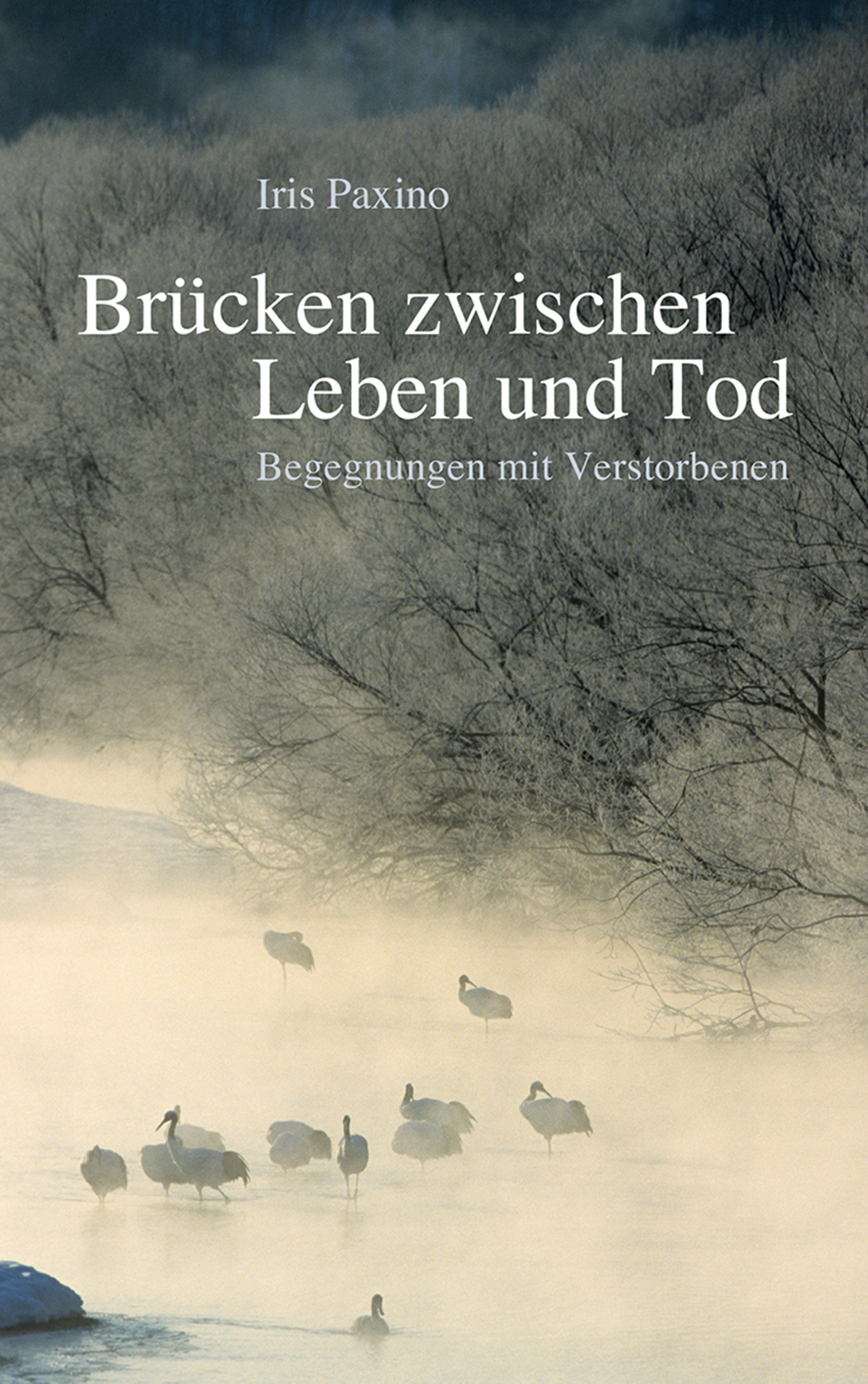 Обложка книги «Brücken zwischen Leben und Tod»