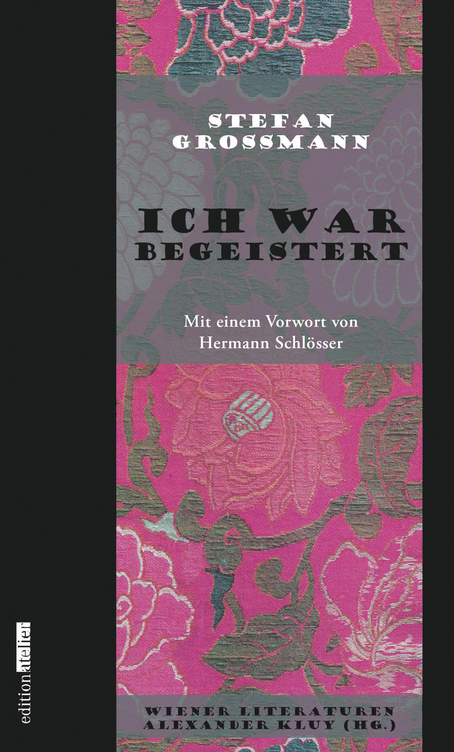 Обложка книги «Ich war begeistert»