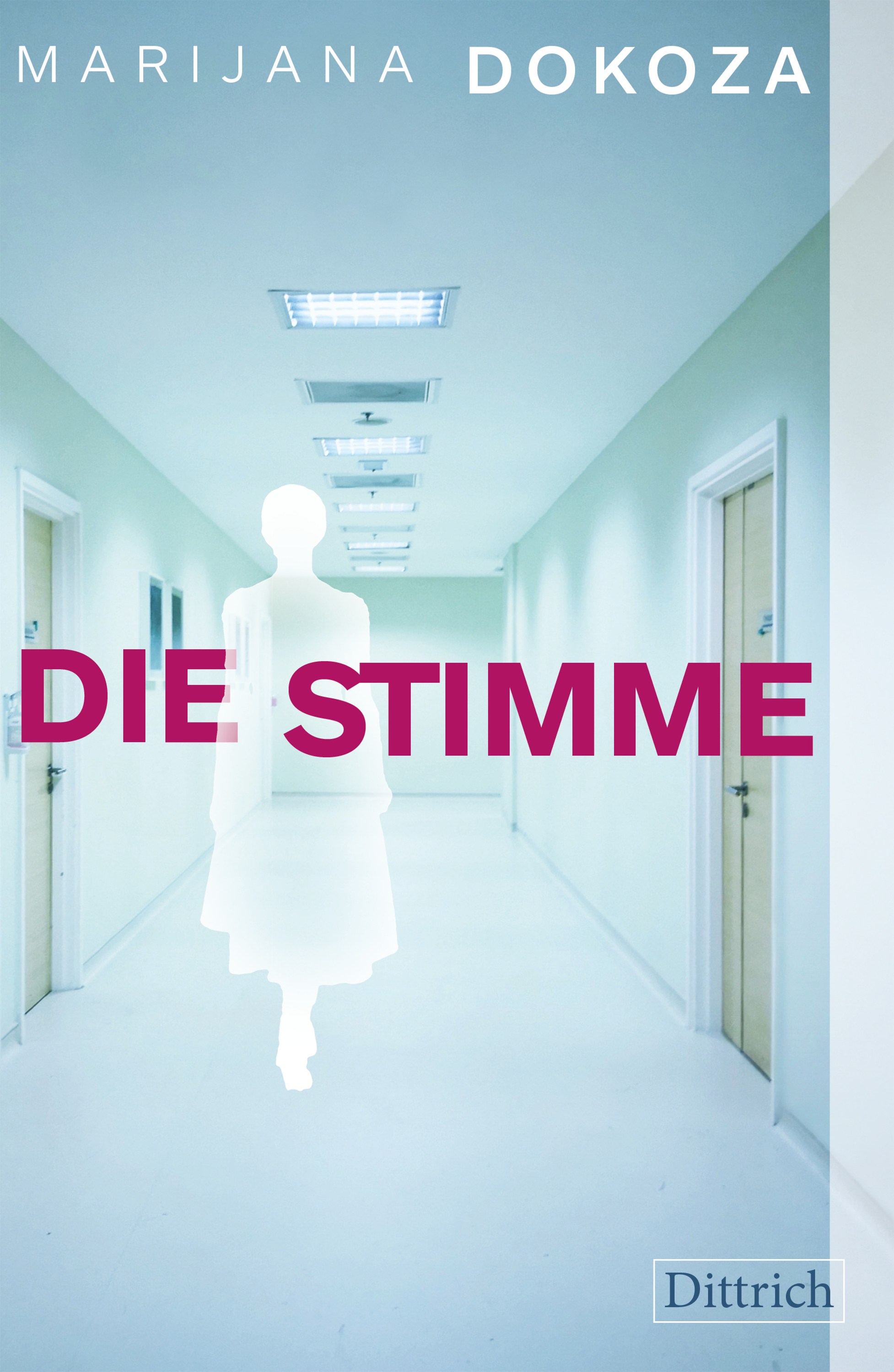 Обложка книги «Die Stimme»