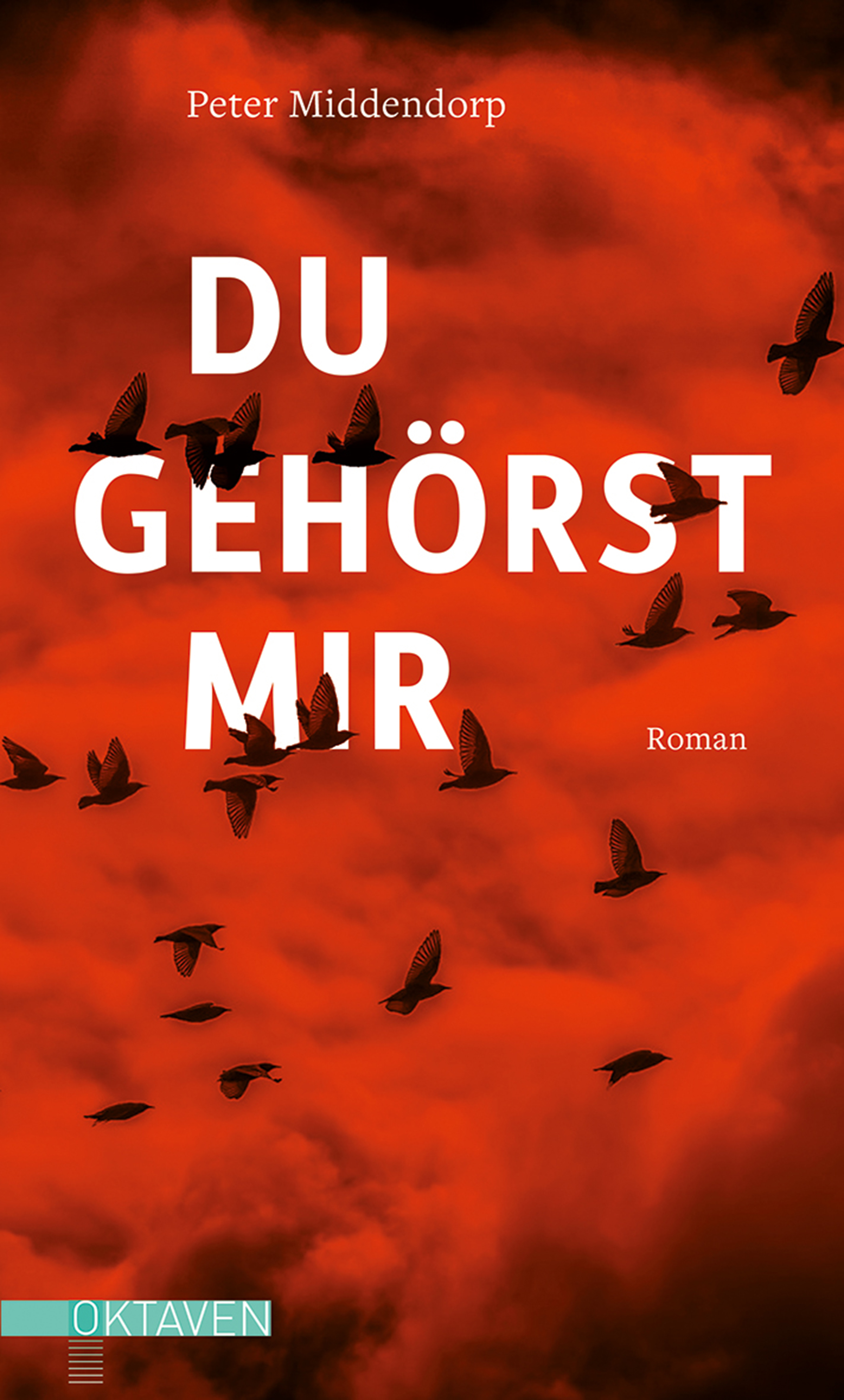 Обложка книги «Du gehörst mir»